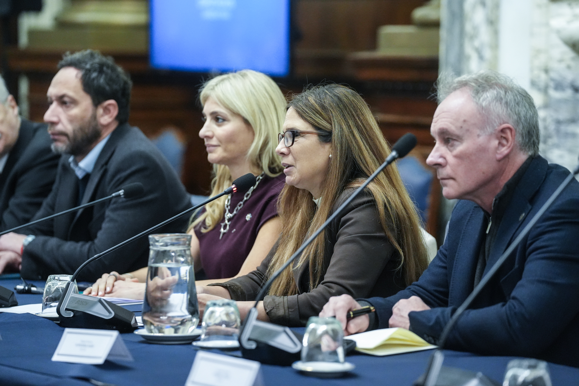 Galeria de imagenes de la noticia SE REUNIÓ EN DIPUTADOS EL GRUPO PARLAMENTARIO DE AMISTAD CON LA REPÚBLICA FEDERAL DE ALEMANIA