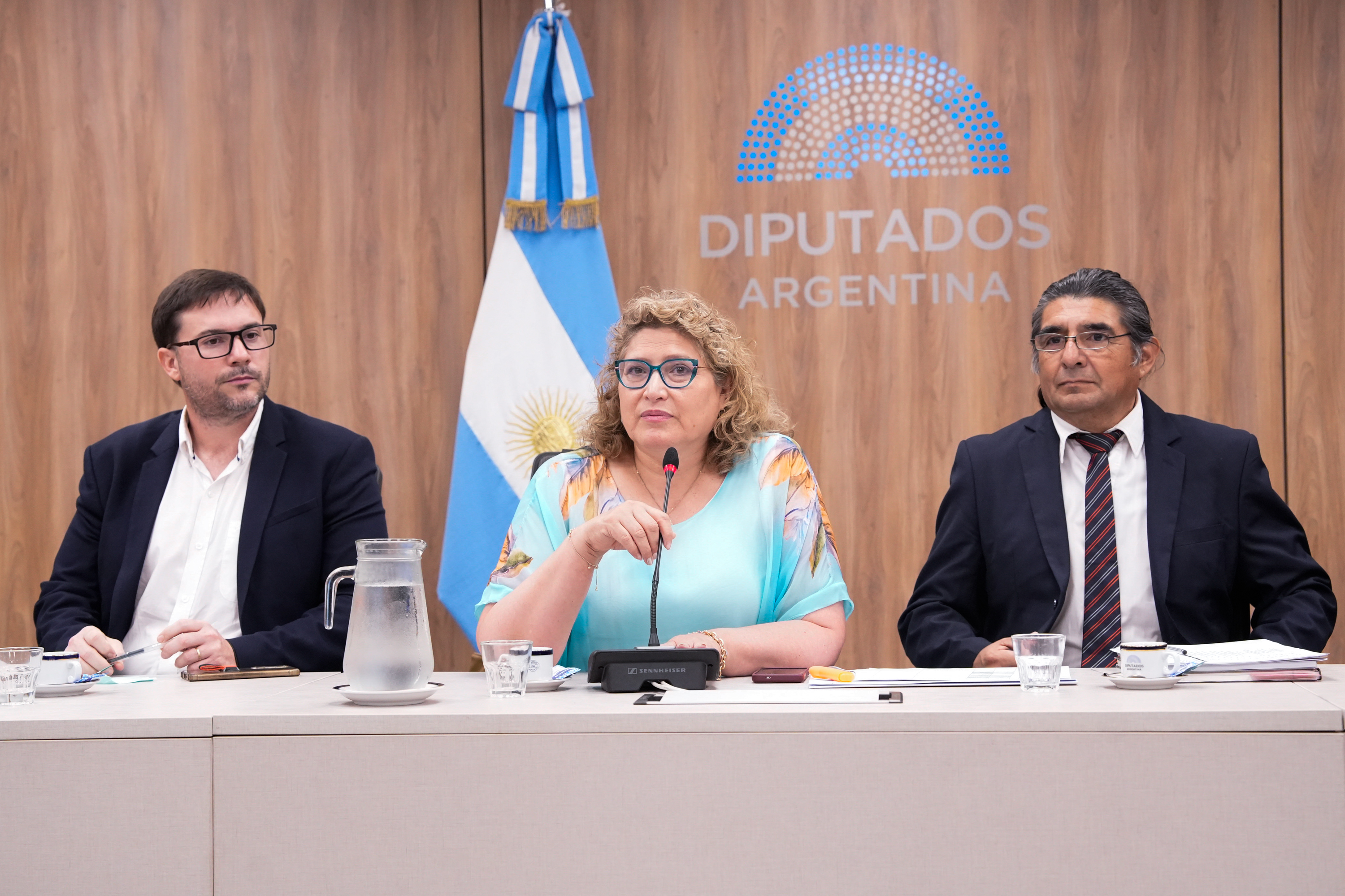 Galeria de imagenes de la noticia CON INVITADOS, LA COMISIÓN DE DEFENSA DEL CONSUMIDOR ABORDÓ LA ACTUALIDAD ENERGÉTICA 