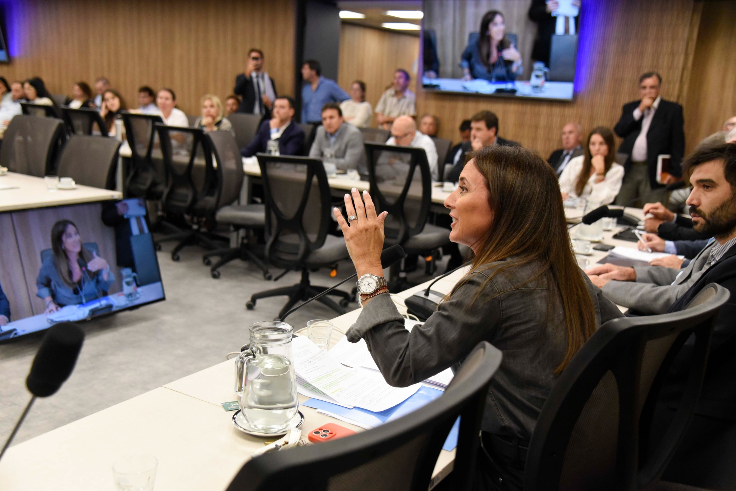 Galeria de imagenes de la noticia COMISIÓN DE AGRICULTURA Y GANADERÍA INICIÓ DEBATE SOBRE RETENCIONES AL CAMPO