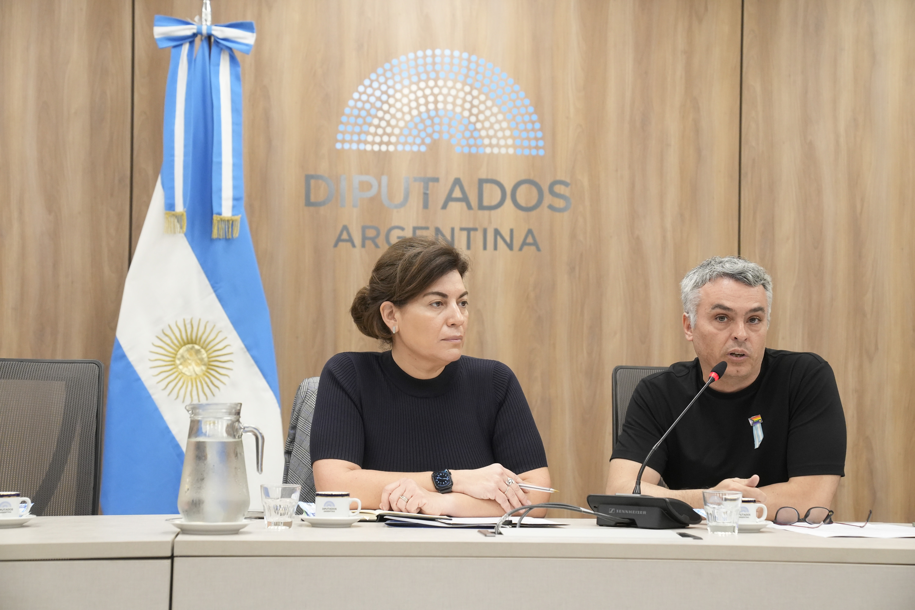 Galeria de imagenes de la noticia CON EXPOSITORES, LA COMISIÓN DE INDUSTRIA REALIZÓ UNA REUNIÓN INFORMATIVA