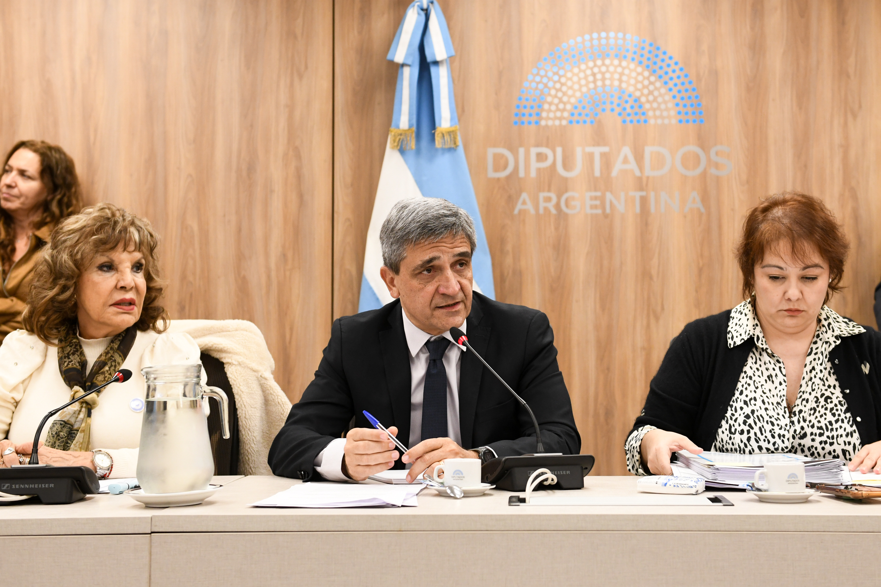 Galeria de imagenes de la noticia LA COMISIÓN DE SALUD AVANZÓ CON EL RÉGIMEN DE PROMOCIÓN DE LA SALUD CEREBRAL