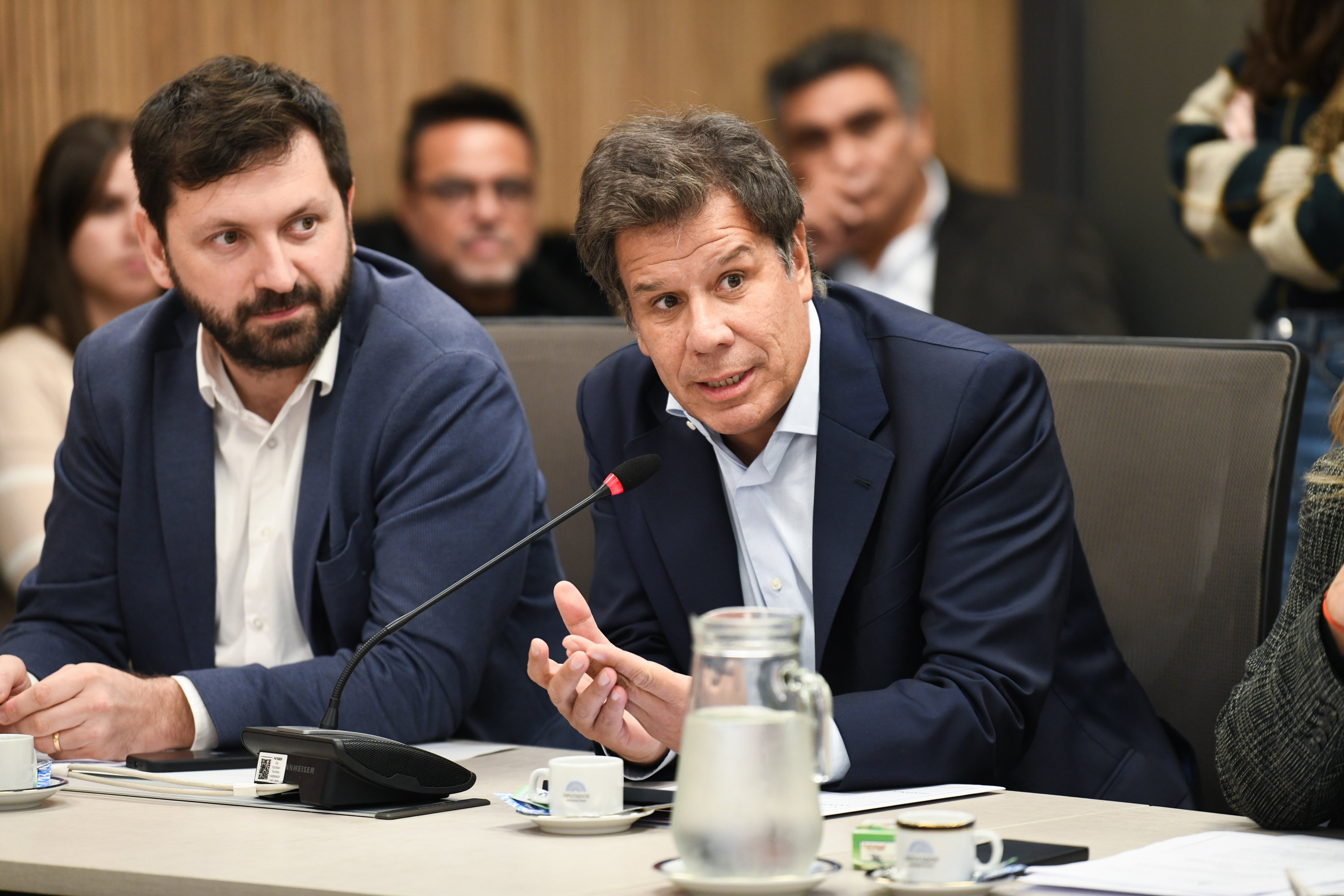 Galeria de imagenes de la noticia LA COMISIÓN DE SALUD AVANZÓ CON EL RÉGIMEN DE PROMOCIÓN DE LA SALUD CEREBRAL
