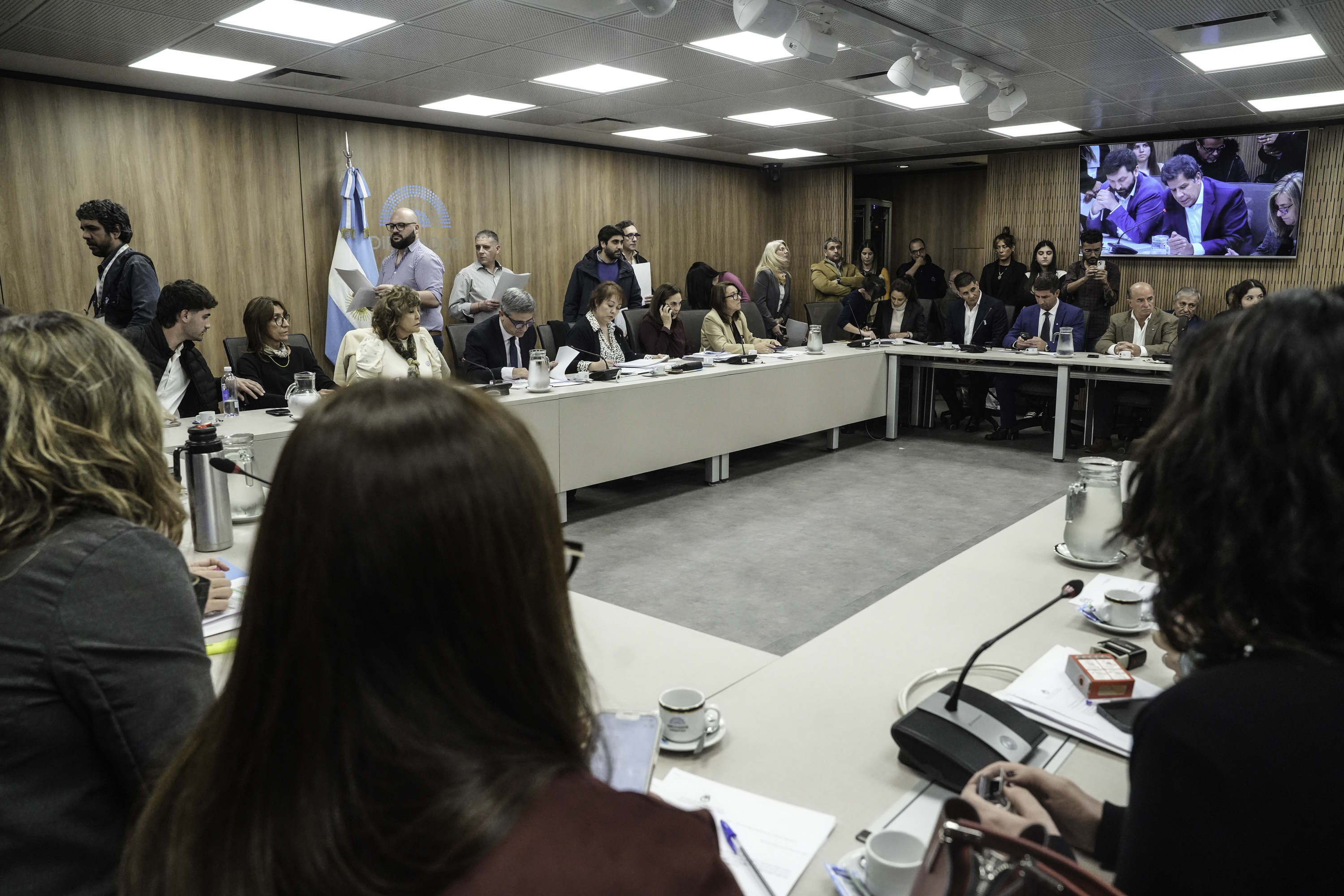 Galeria de imagenes de la noticia LA COMISIÓN DE SALUD AVANZÓ CON EL RÉGIMEN DE PROMOCIÓN DE LA SALUD CEREBRAL