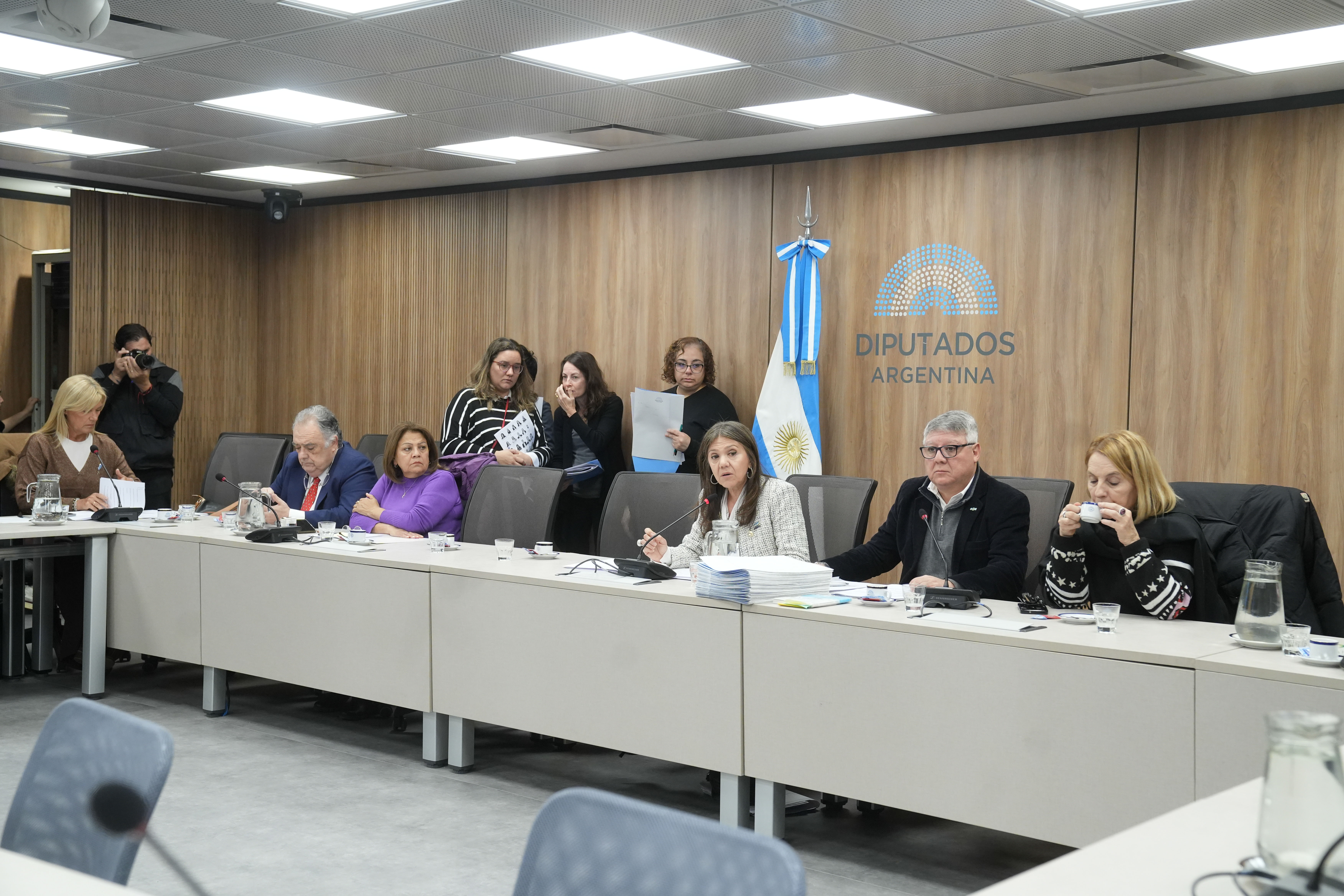 Galeria de imagenes de la noticia LA COMISIÓN DE CULTURA DICTAMINÓ DISTINTOS PROYECTOS DE RESOLUCIÓN Y DECLARACIÓN