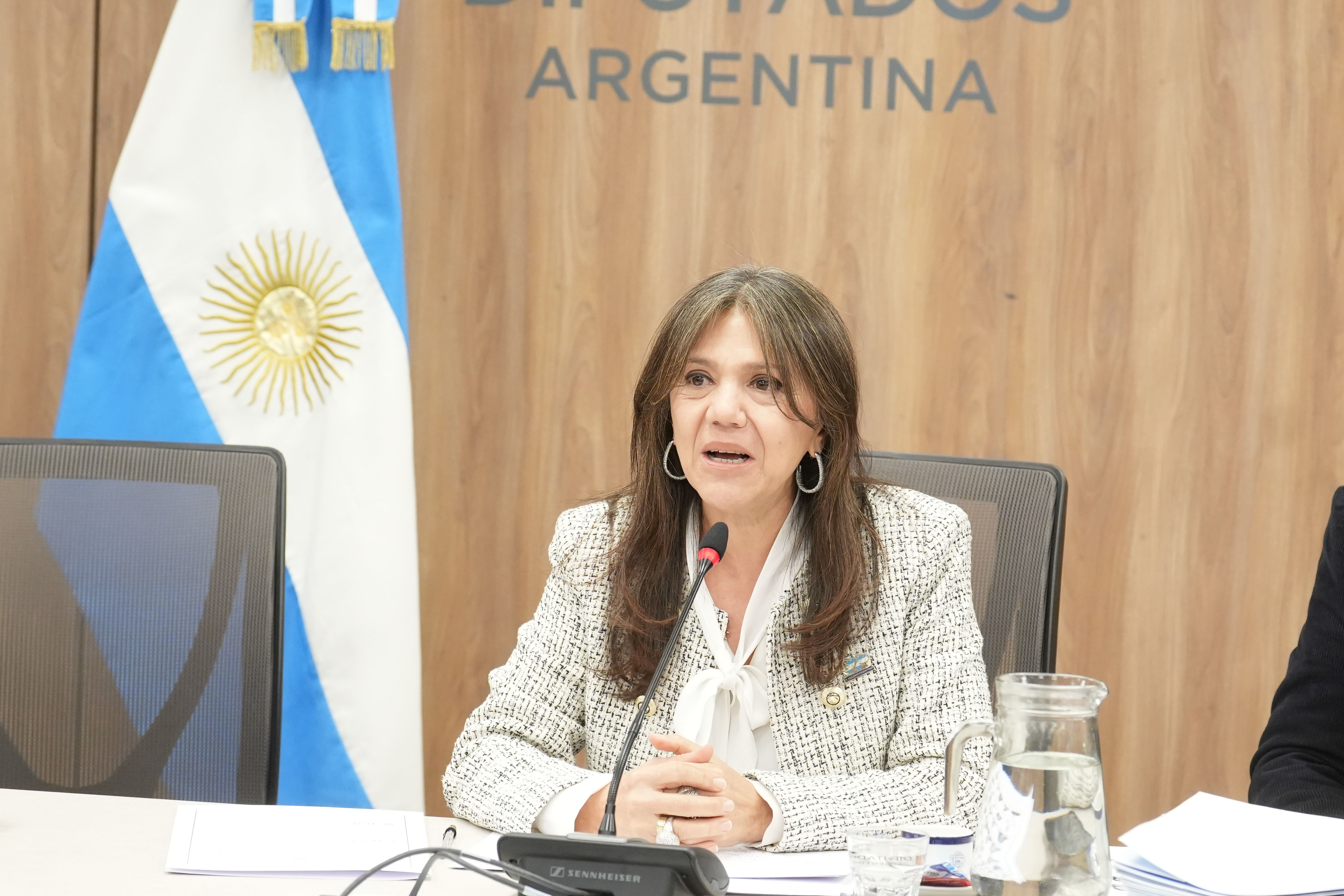 Galeria de imagenes de la noticia LA COMISIÓN DE CULTURA DICTAMINÓ DISTINTOS PROYECTOS DE RESOLUCIÓN Y DECLARACIÓN