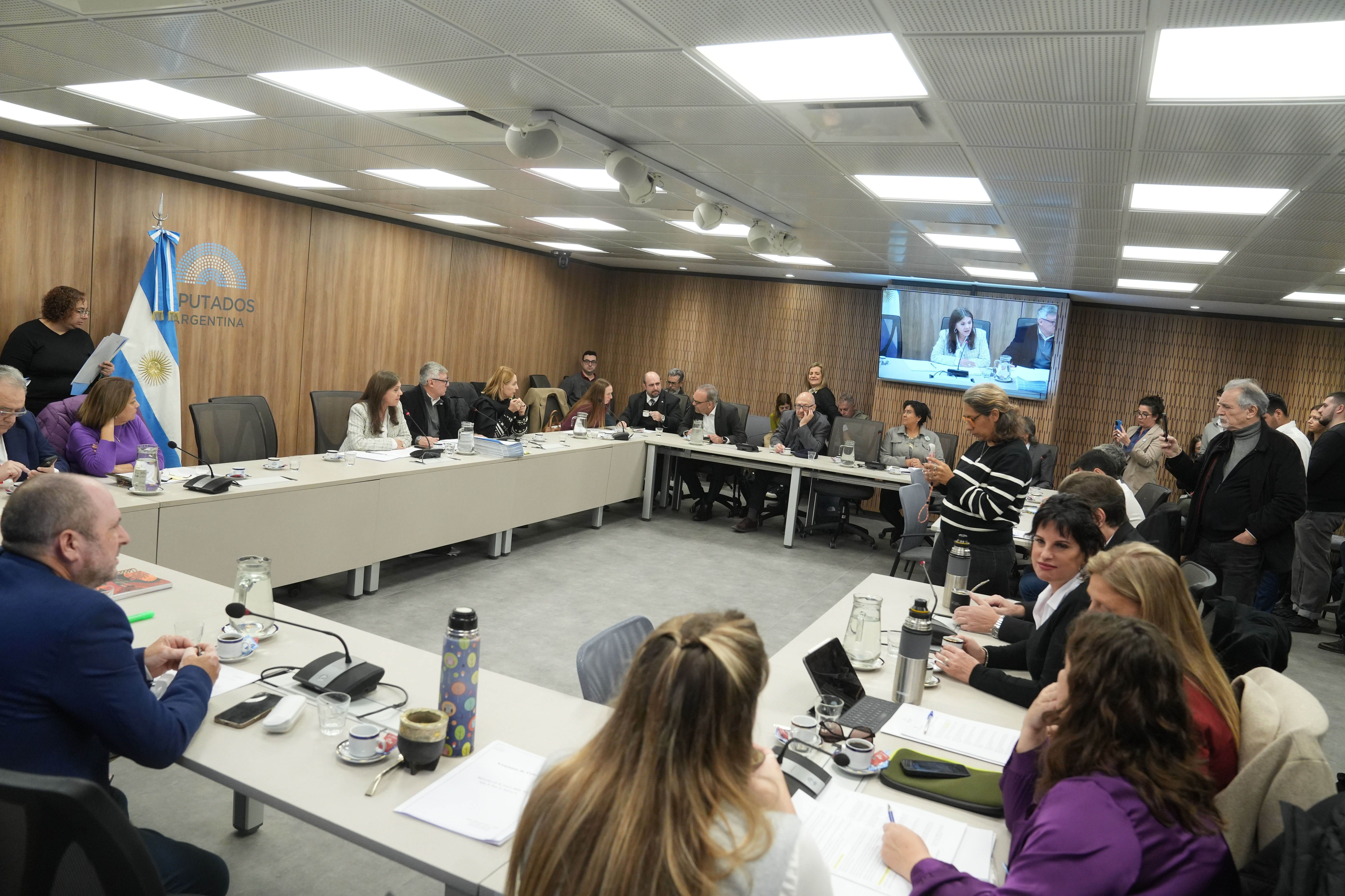 Galeria de imagenes de la noticia LA COMISIÓN DE CULTURA DICTAMINÓ DISTINTOS PROYECTOS DE RESOLUCIÓN Y DECLARACIÓN