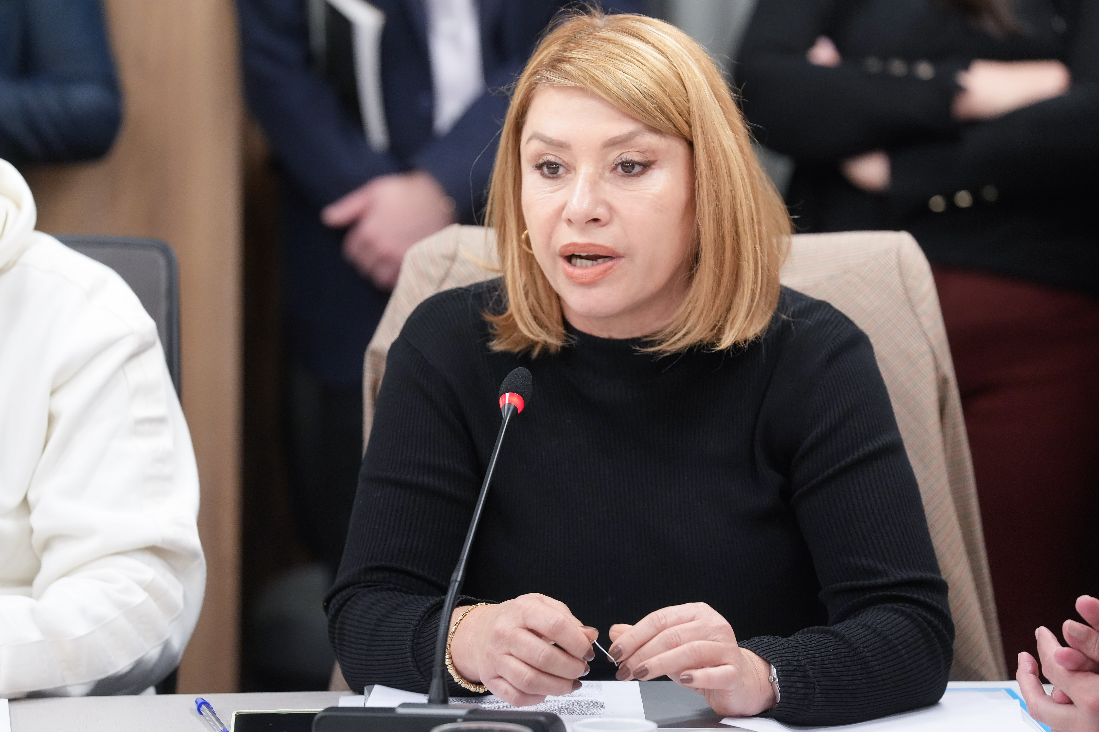 Galeria de imagenes de la noticia CONTINÚA EN COMISIÓN EL DEBATE POR LA AUDITORÍA GENERAL DE LA NACIÓN