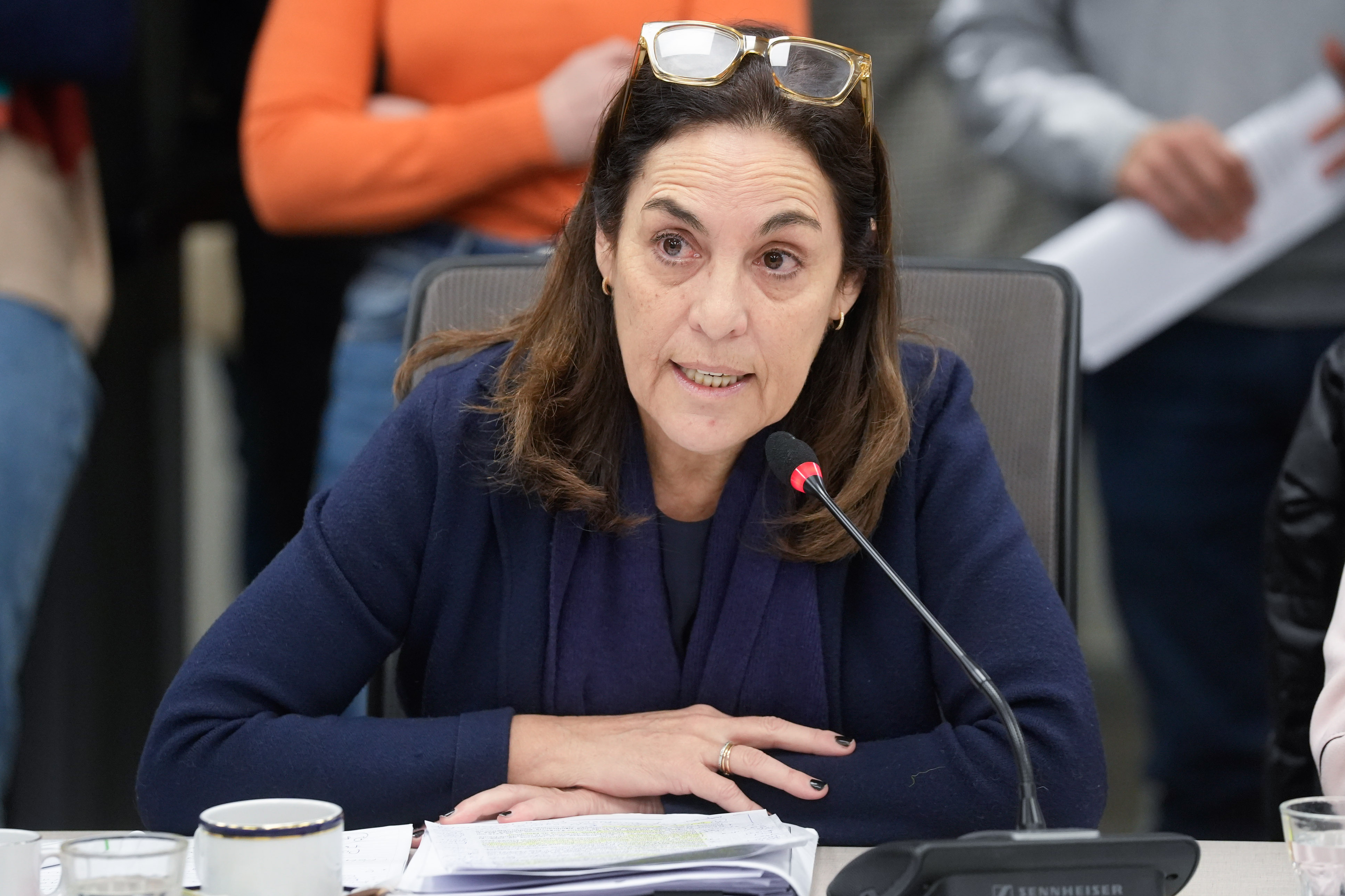 Galeria de imagenes de la noticia CONTINÚA EN COMISIÓN EL DEBATE POR LA AUDITORÍA GENERAL DE LA NACIÓN