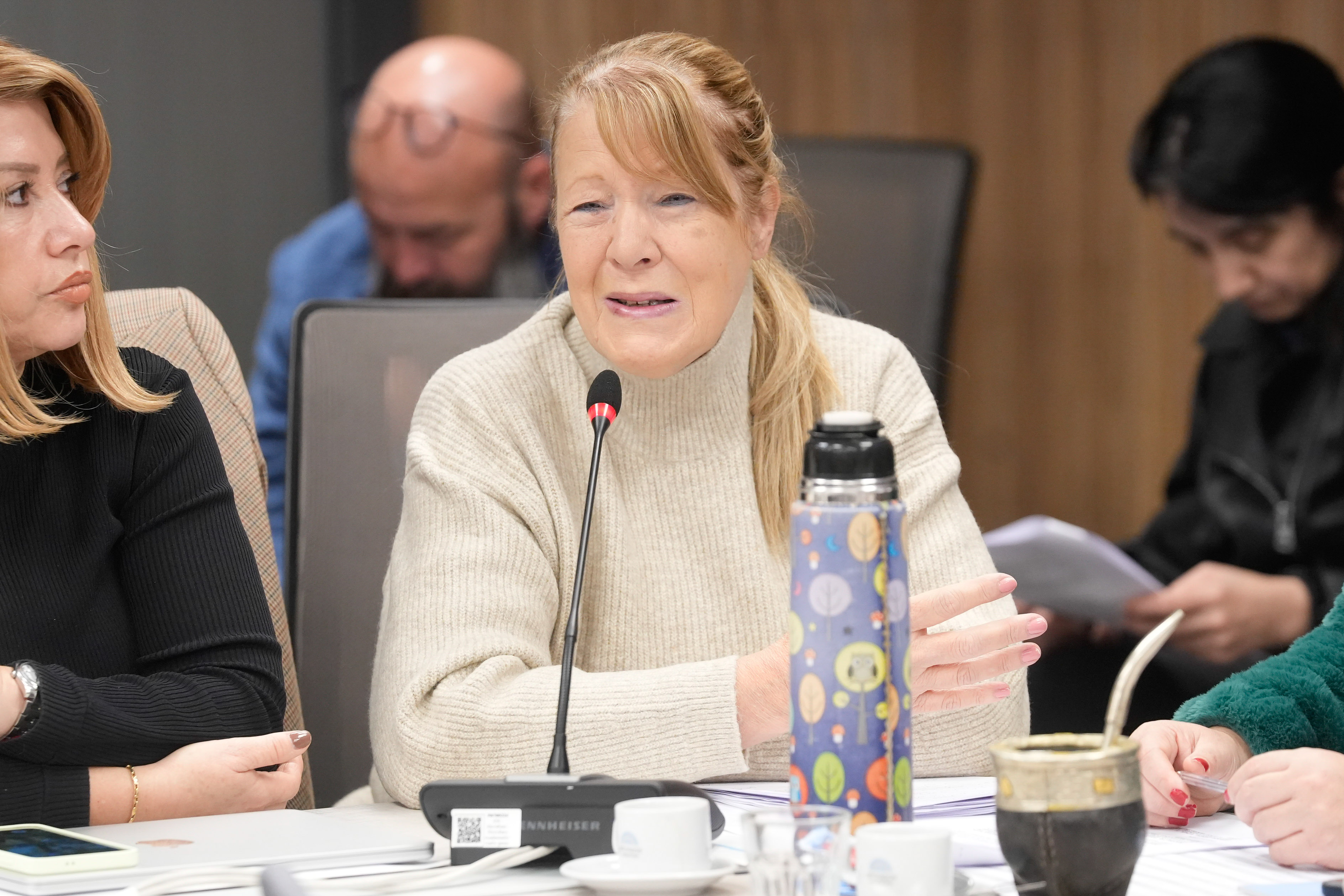 Galeria de imagenes de la noticia CONTINÚA EN COMISIÓN EL DEBATE POR LA AUDITORÍA GENERAL DE LA NACIÓN