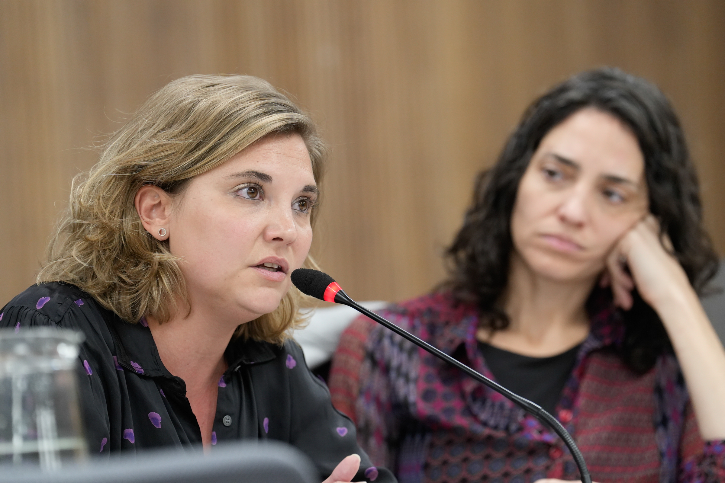 Galeria de imagenes de la noticia BICAMERAL AVANZÓ SOBRE LA SITUACIÓN INSTITUCIONAL DE LA DEFENSORÍA DE NIÑEZ Y ADOLESCENCIA