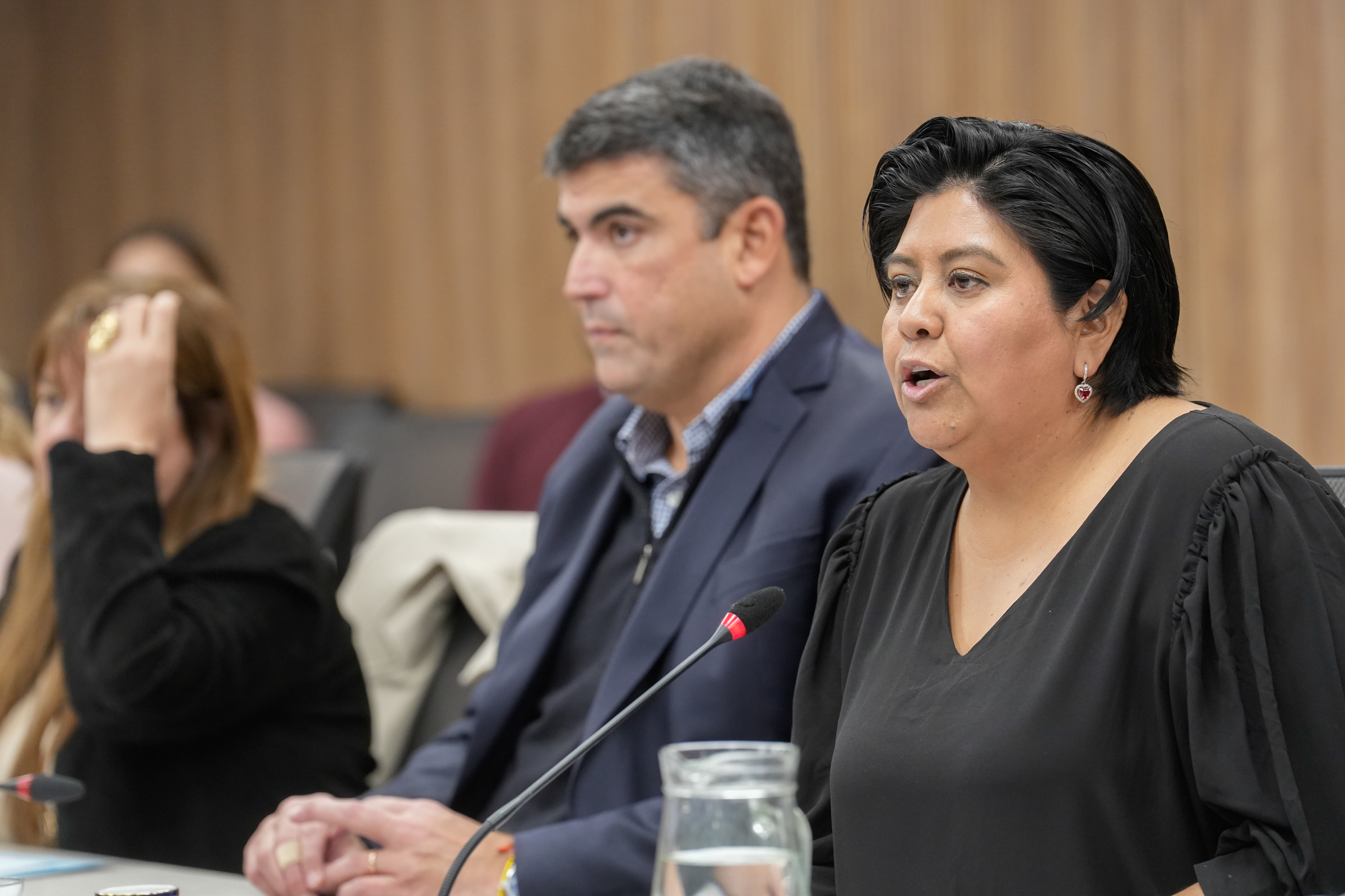 Galeria de imagenes de la noticia BICAMERAL AVANZÓ SOBRE LA SITUACIÓN INSTITUCIONAL DE LA DEFENSORÍA DE NIÑEZ Y ADOLESCENCIA