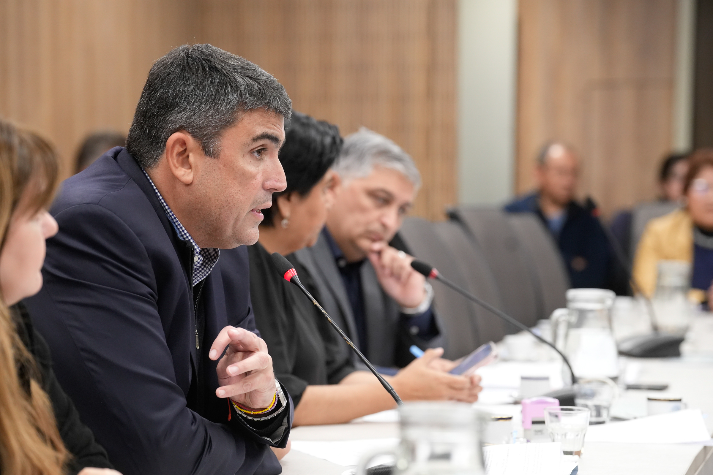 Galeria de imagenes de la noticia BICAMERAL AVANZÓ SOBRE LA SITUACIÓN INSTITUCIONAL DE LA DEFENSORÍA DE NIÑEZ Y ADOLESCENCIA