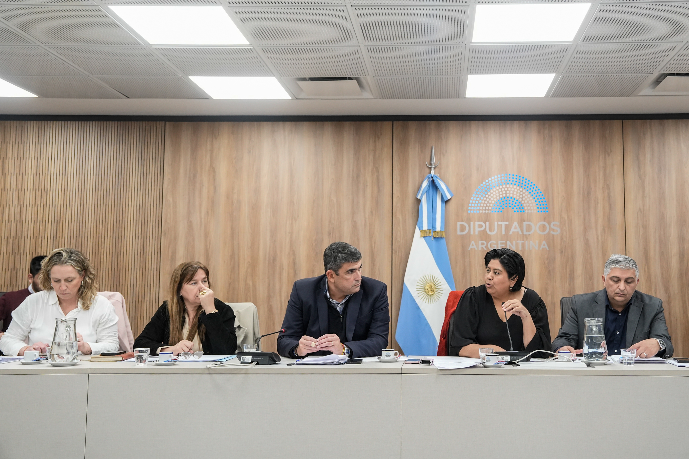 Galeria de imagenes de la noticia BICAMERAL AVANZÓ SOBRE LA SITUACIÓN INSTITUCIONAL DE LA DEFENSORÍA DE NIÑEZ Y ADOLESCENCIA