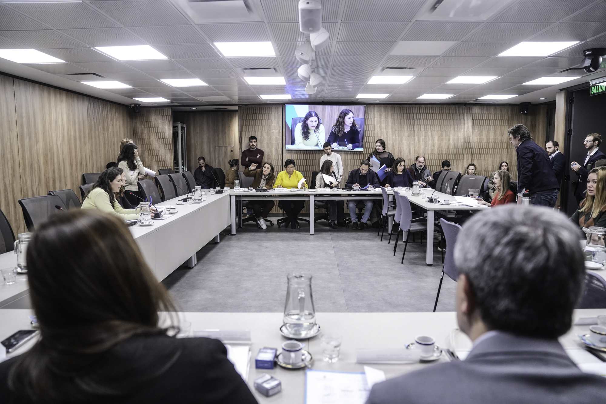 Galeria de imagenes de la noticia AVANZA EN DIPUTADOS LA CREACIÓN DEL PROGRAMA NACIONAL DE EMBARAZO NO INTENCIONAL DE NIÑAS Y ADOLESCENTES
