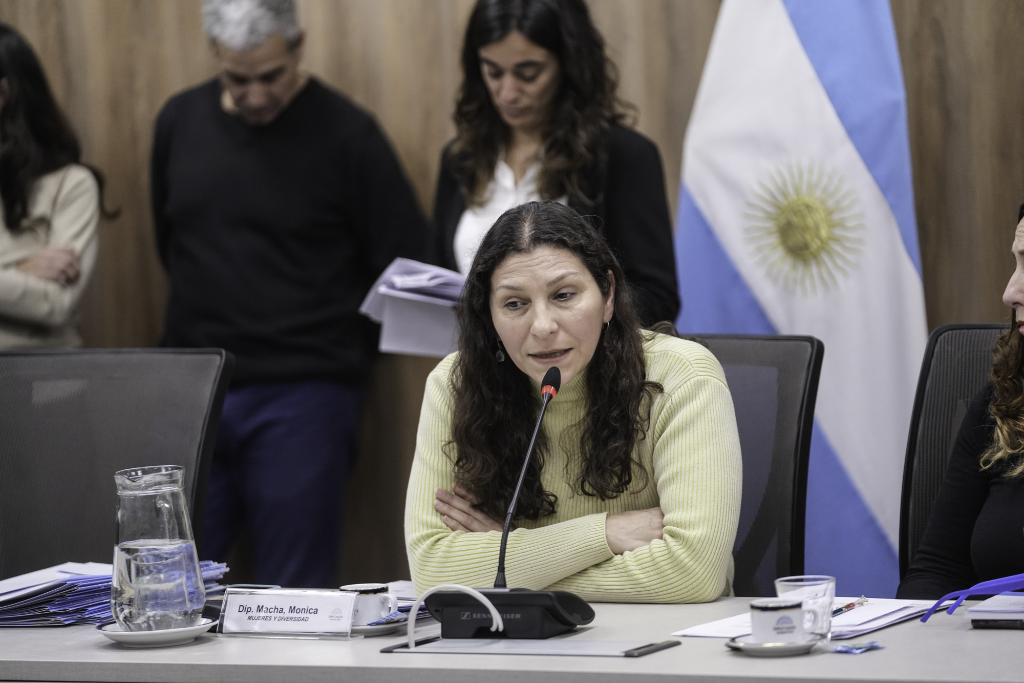 Galeria de imagenes de la noticia AVANZA EN DIPUTADOS LA CREACIÓN DEL PROGRAMA NACIONAL DE EMBARAZO NO INTENCIONAL DE NIÑAS Y ADOLESCENTES