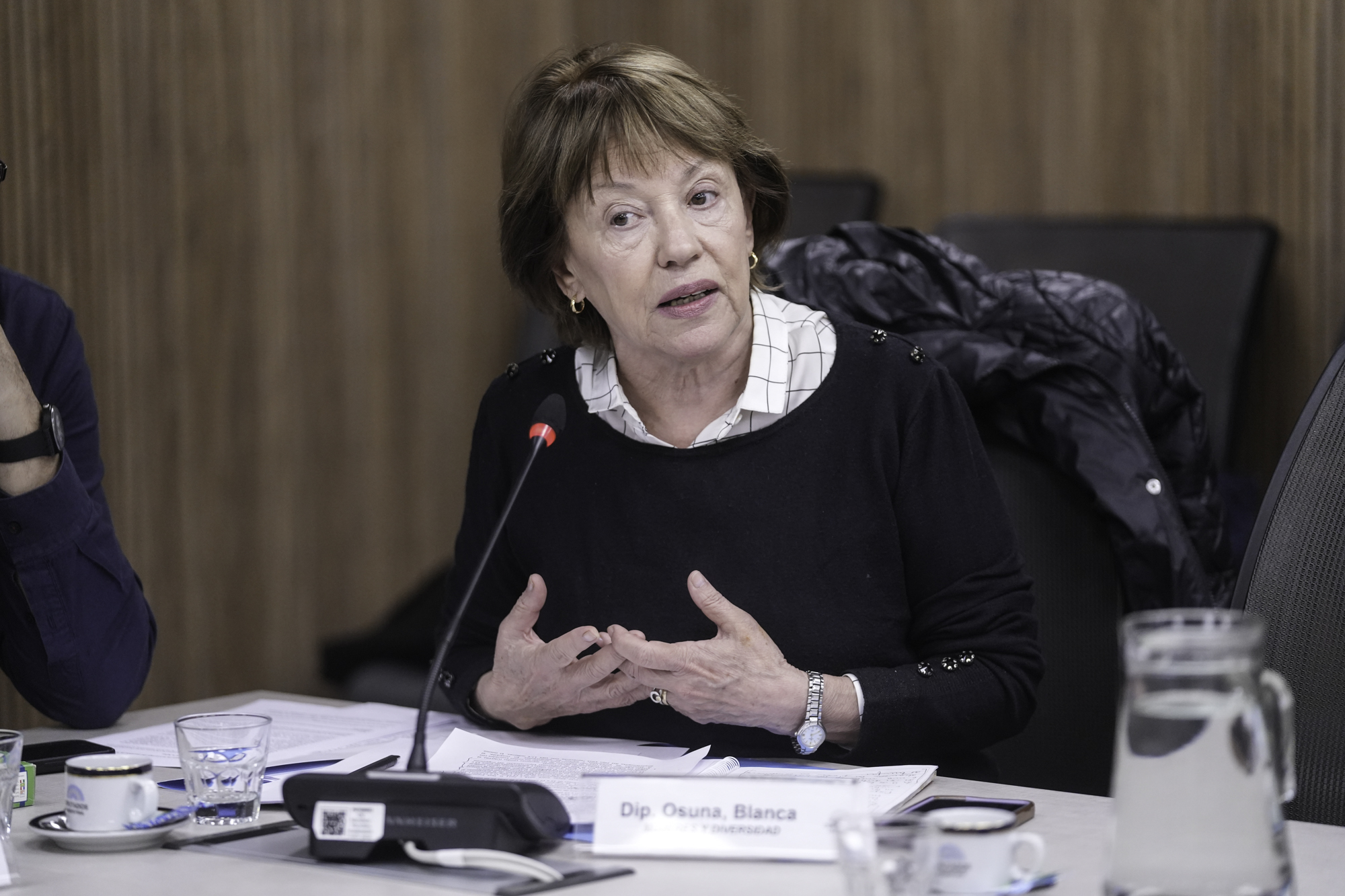 Galeria de imagenes de la noticia AVANZA EN DIPUTADOS LA CREACIÓN DEL PROGRAMA NACIONAL DE EMBARAZO NO INTENCIONAL DE NIÑAS Y ADOLESCENTES