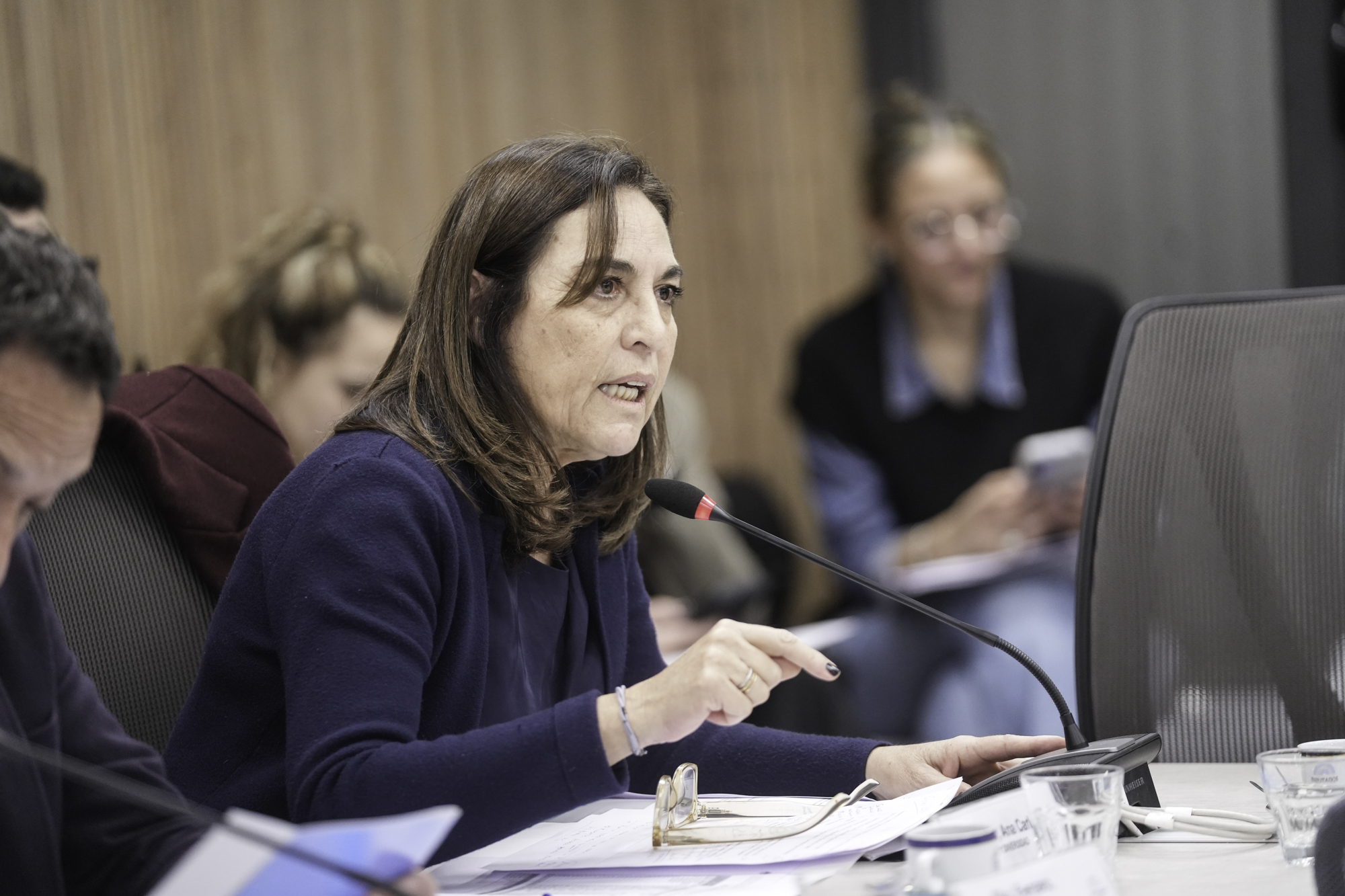 Galeria de imagenes de la noticia AVANZA EN DIPUTADOS LA CREACIÓN DEL PROGRAMA NACIONAL DE EMBARAZO NO INTENCIONAL DE NIÑAS Y ADOLESCENTES