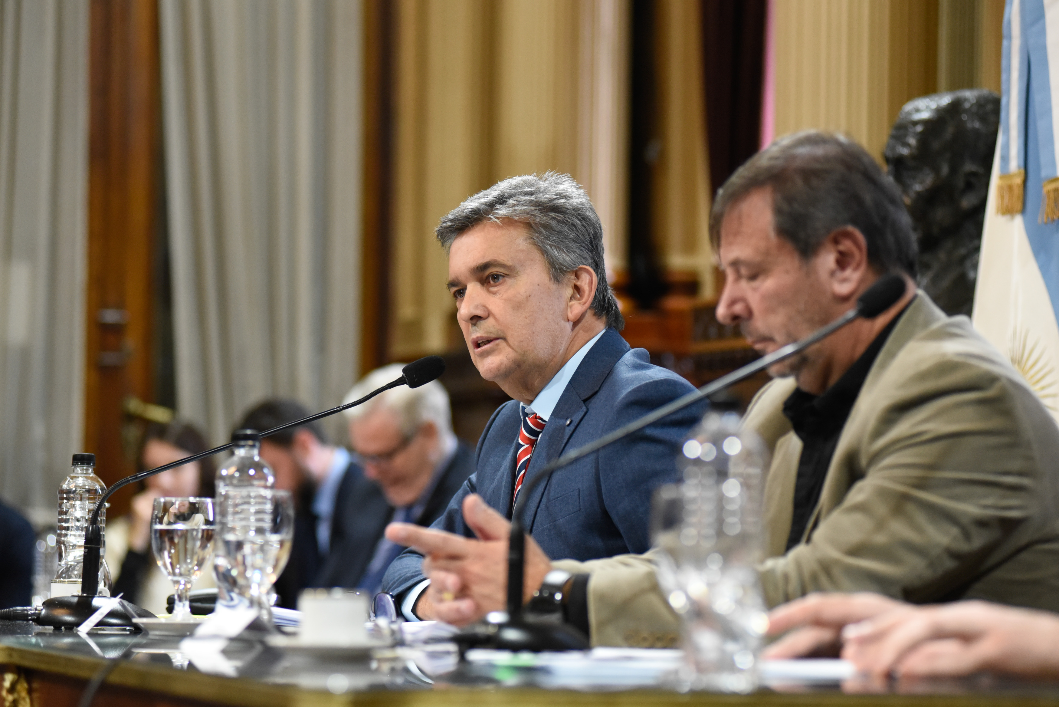 Galeria de imagenes de la noticia LA BICAMERAL DE TRÁMITE LEGISLATIVO ANALIZÓ 13 DECRETOS DE NECESIDAD Y URGENCIA