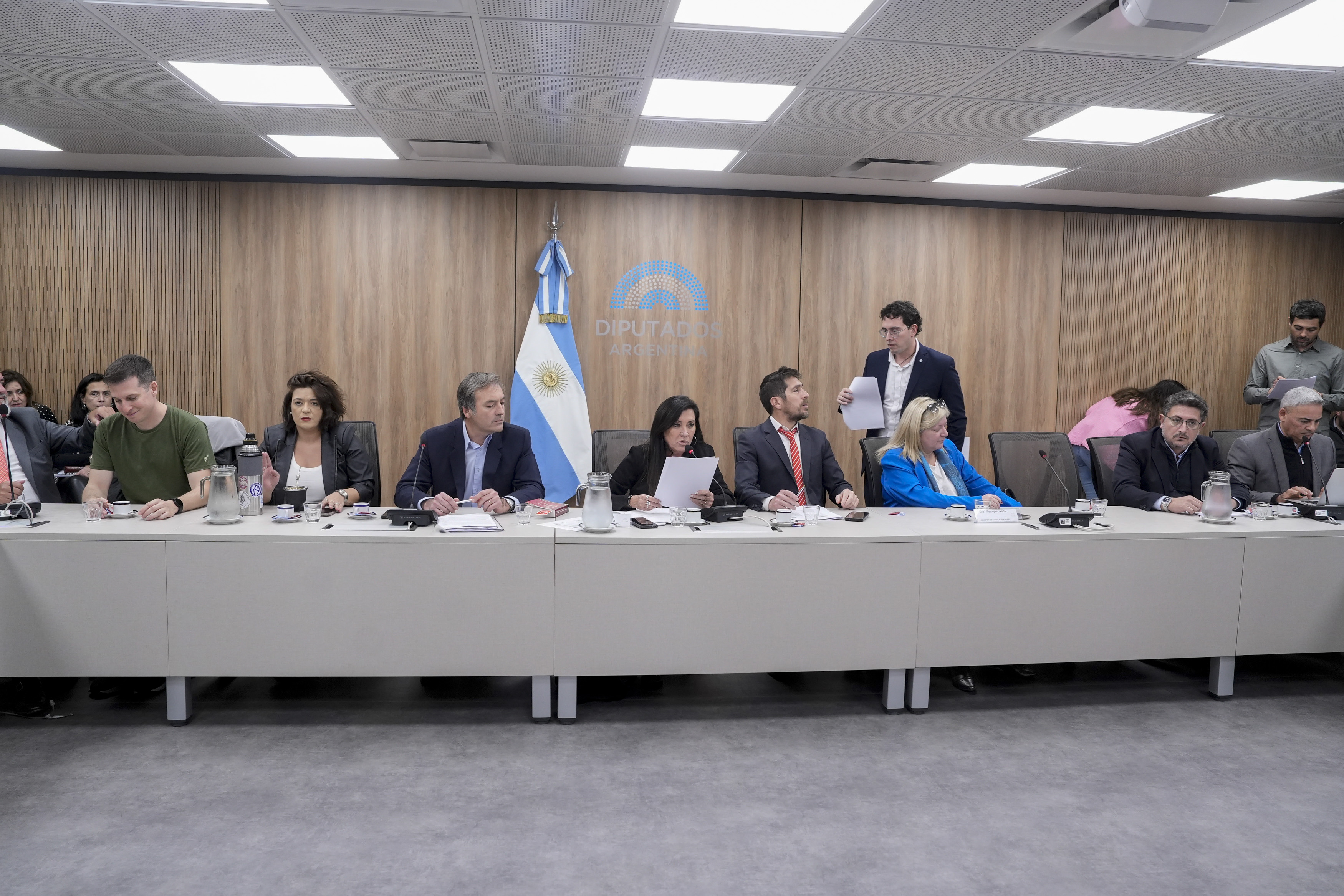 Galeria de imagenes de la noticia LEGISLACION PENAL APROBÓ MODIFICAR EL CÓDIGO PENAL PARA AUMENTAR LAS PENAS EN OCASIÓN DE ROBO Y HURTO
