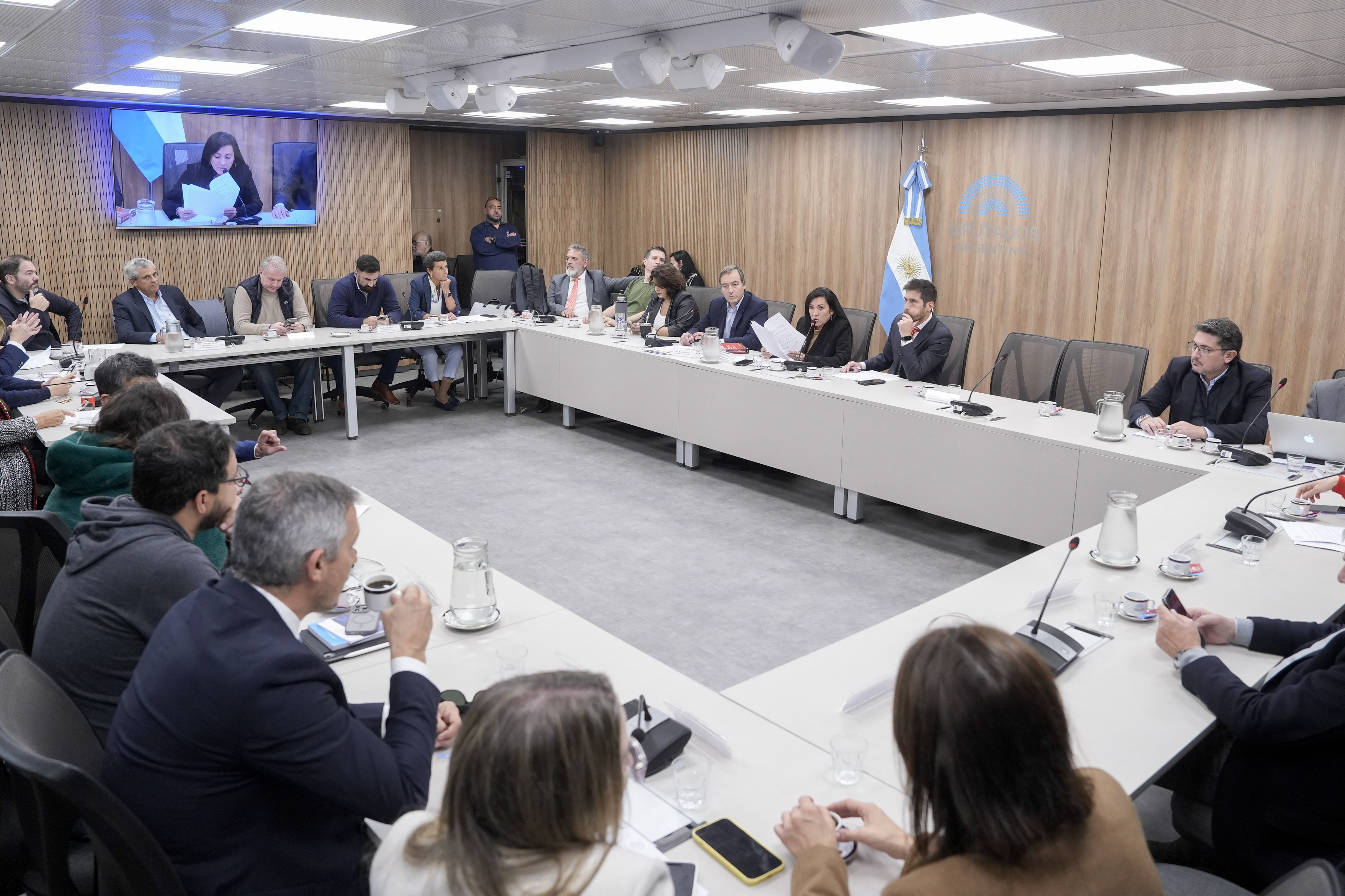 Galeria de imagenes de la noticia LEGISLACION PENAL APROBÓ MODIFICAR EL CÓDIGO PENAL PARA AUMENTAR LAS PENAS EN OCASIÓN DE ROBO Y HURTO
