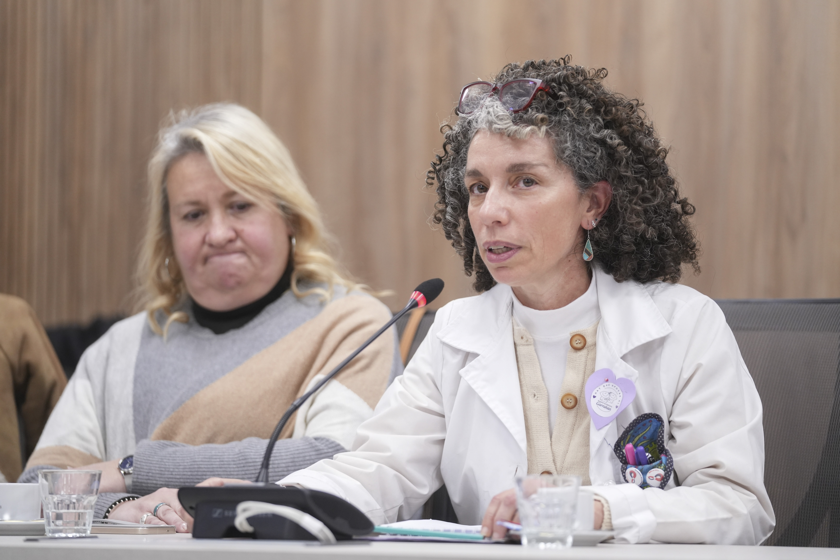 Galeria de imagenes de la noticia AVANZA LA EMERGENCIA SANITARIA DE LA SALUD PEDIÁTRICA EN DIPUTADOS