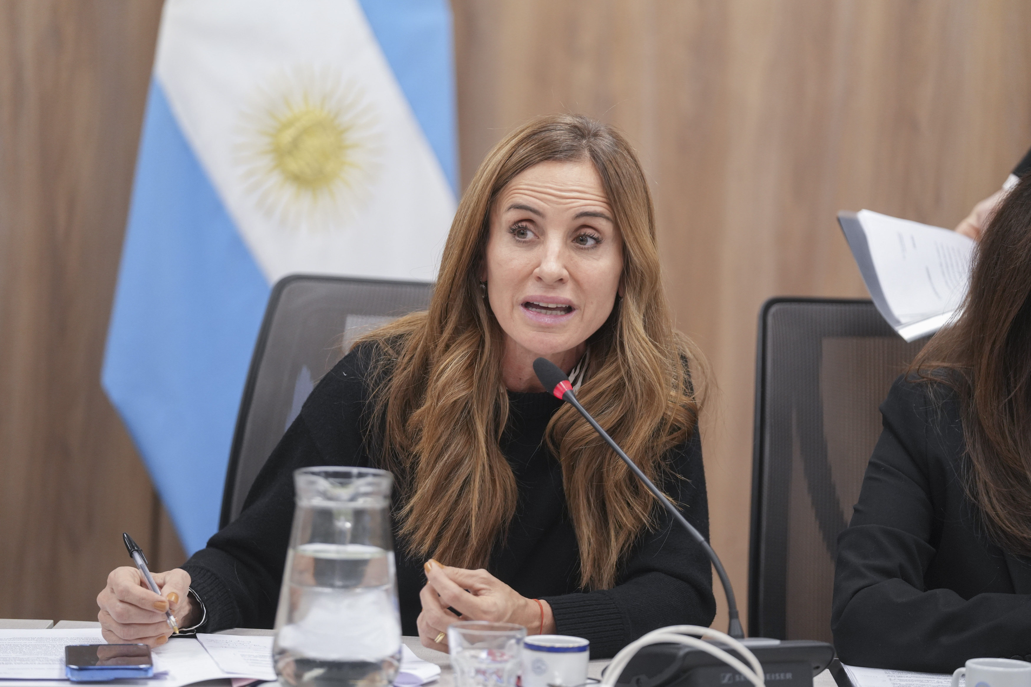 Galeria de imagenes de la noticia AVANZA LA EMERGENCIA SANITARIA DE LA SALUD PEDIÁTRICA EN DIPUTADOS