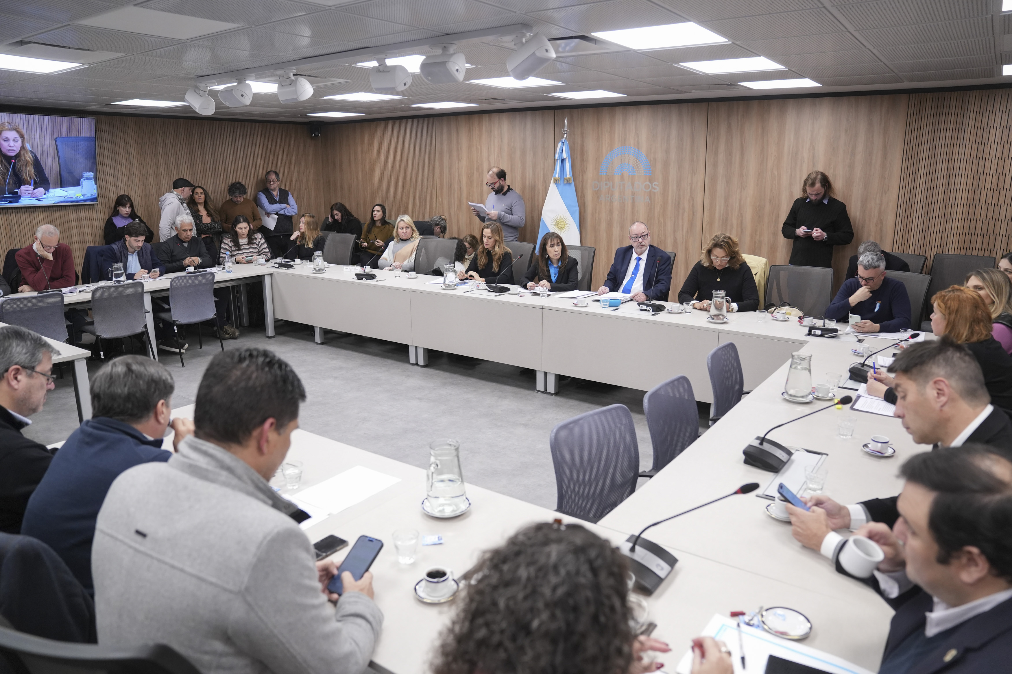 Galeria de imagenes de la noticia AVANZA LA EMERGENCIA SANITARIA DE LA SALUD PEDIÁTRICA EN DIPUTADOS