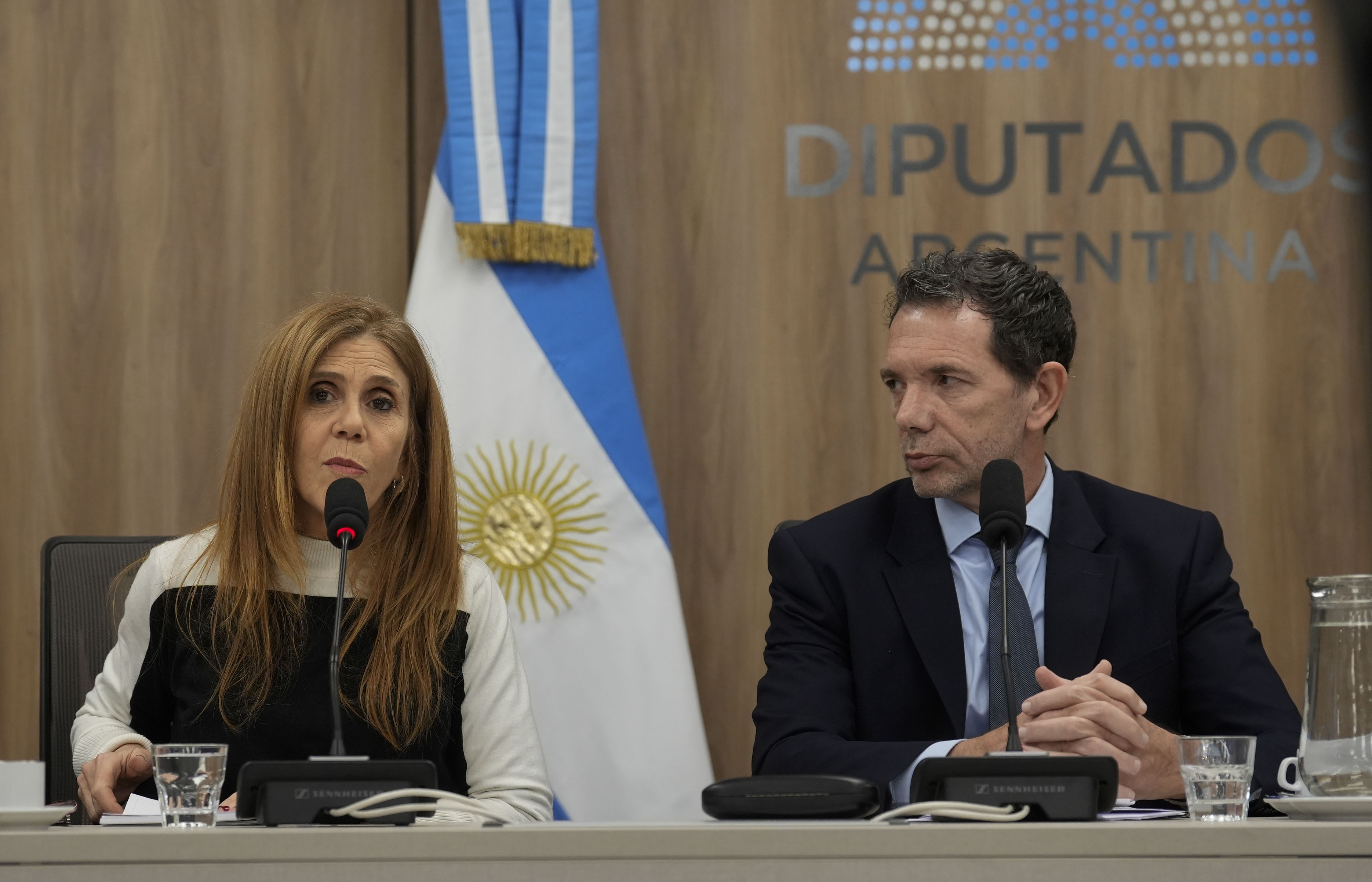 Galeria de imagenes de la noticia SE REALIZÓ UNA NUEVA REUNIÓN DE LA COMISIÓN INVESTIGADORA SOBRE LA CRIPTOMONEDA $LIBRA