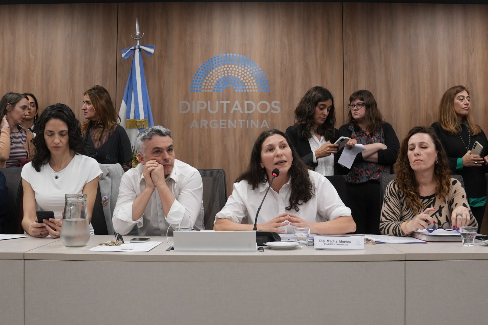 Galeria de imagenes de la noticia CON INVITADOS, SE REUNIÓ LA COMISIÓN DE MUJERES Y DIVERSIDAD