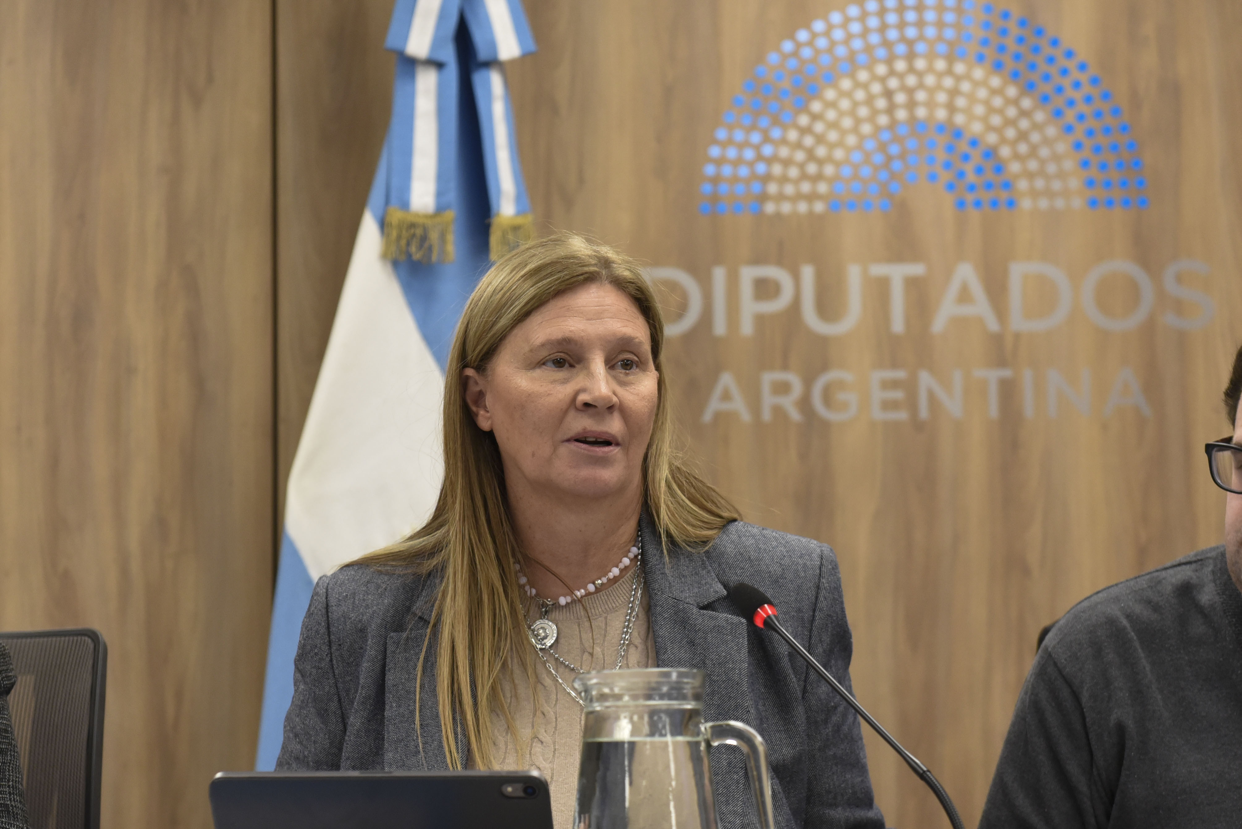 Galeria de imagenes de la noticia TURISMO RECIBIÓ A ESPECIALISTAS QUE ANALIZARON LA SITUACIÓN ACTUAL DEL SECTOR