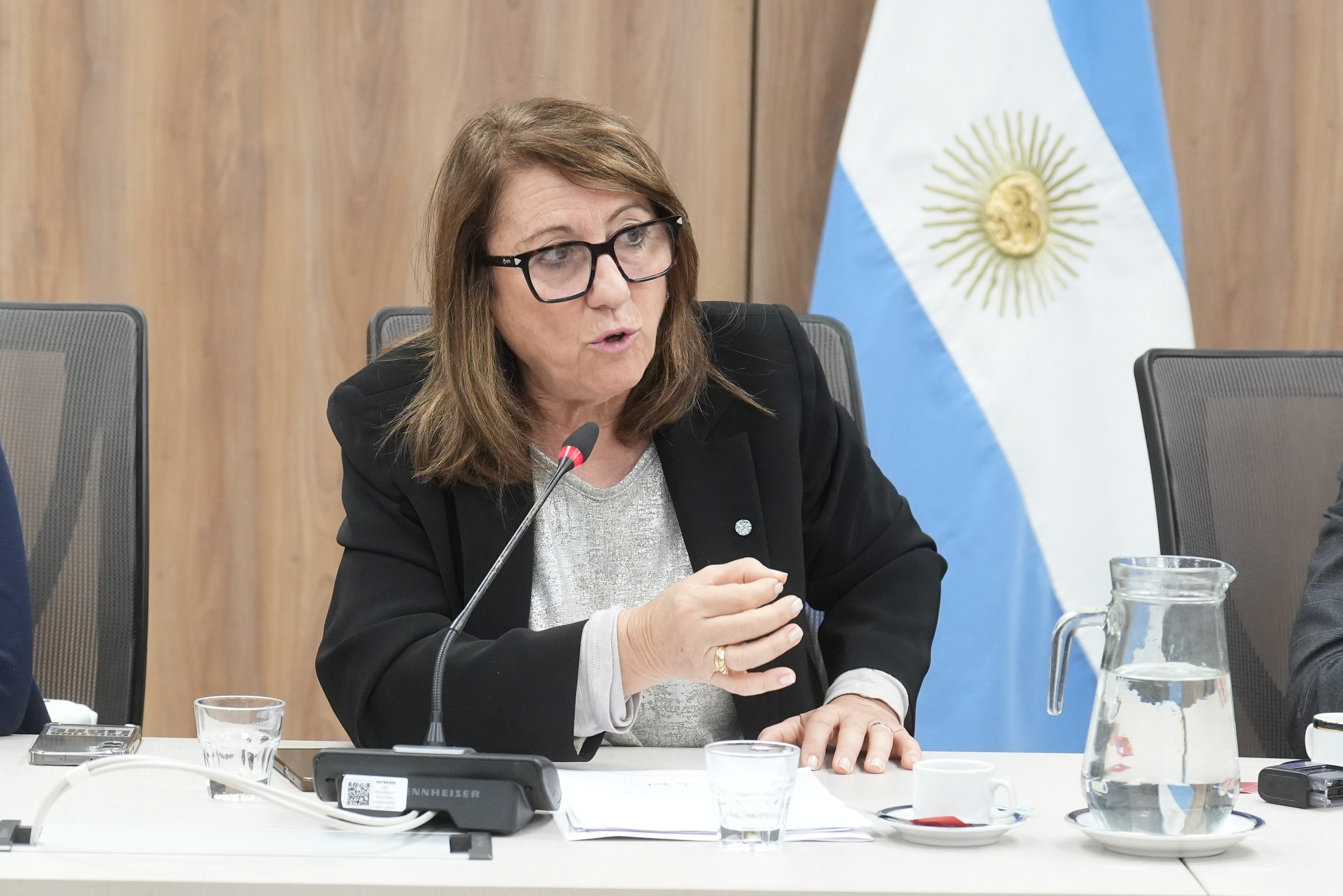 Galeria de imagenes de la noticia LA COMISIÓN DE SALUD AVANZÓ CON PEDIDOS DE INFORMES SOBRE LA CAUSA DEL FENTANILO