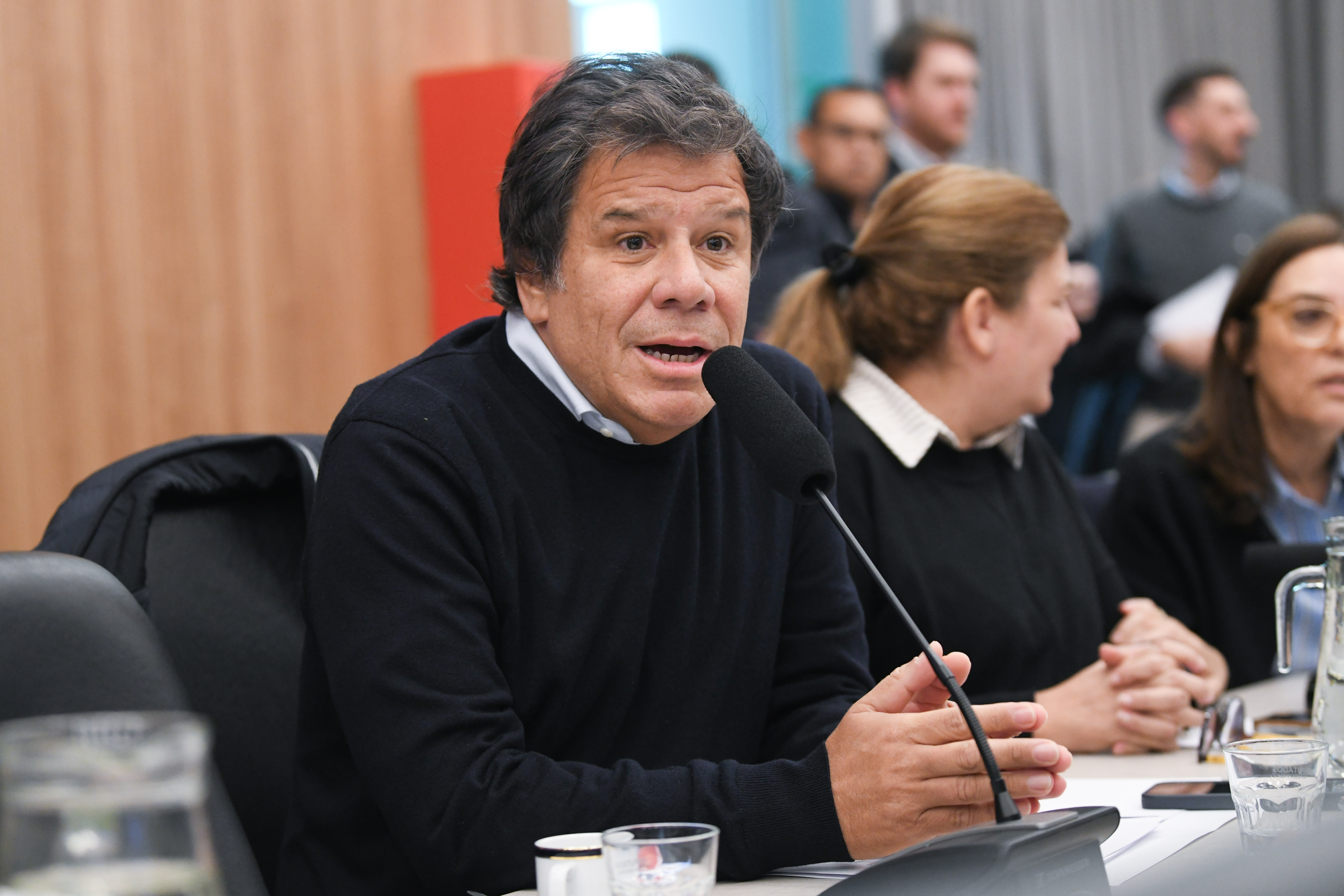Galeria de imagenes de la noticia UN PLENARIO DE COMISIONES RESPALDÓ EL PROYECTO DE PROMOCIÓN DE LA SALUD CEREBRAL