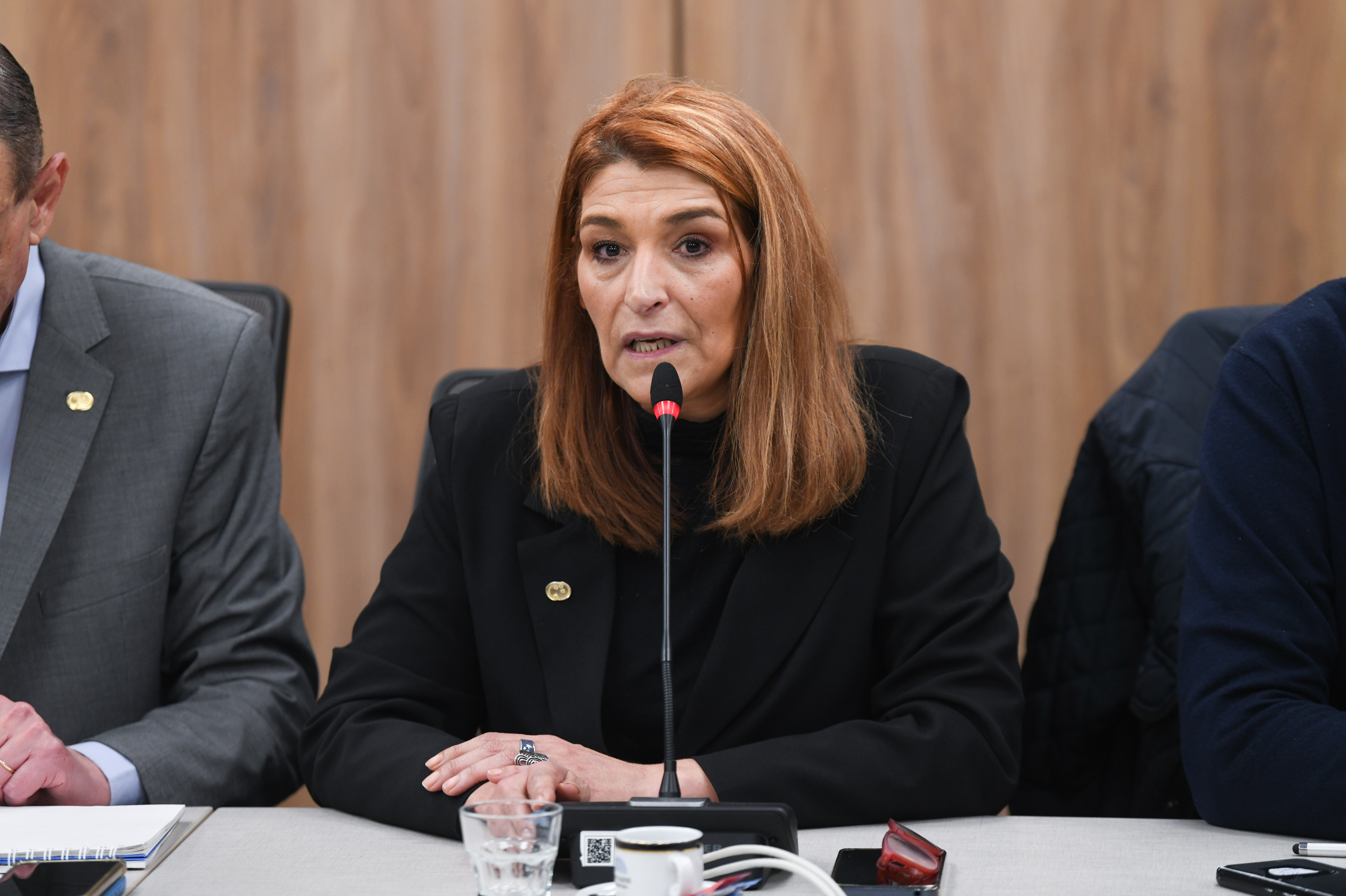 Galeria de imagenes de la noticia LA COMISIÓN DE MERCOSUR RECIBIÓ A UNA COMITIVA OFICIAL DEL PARLASUR