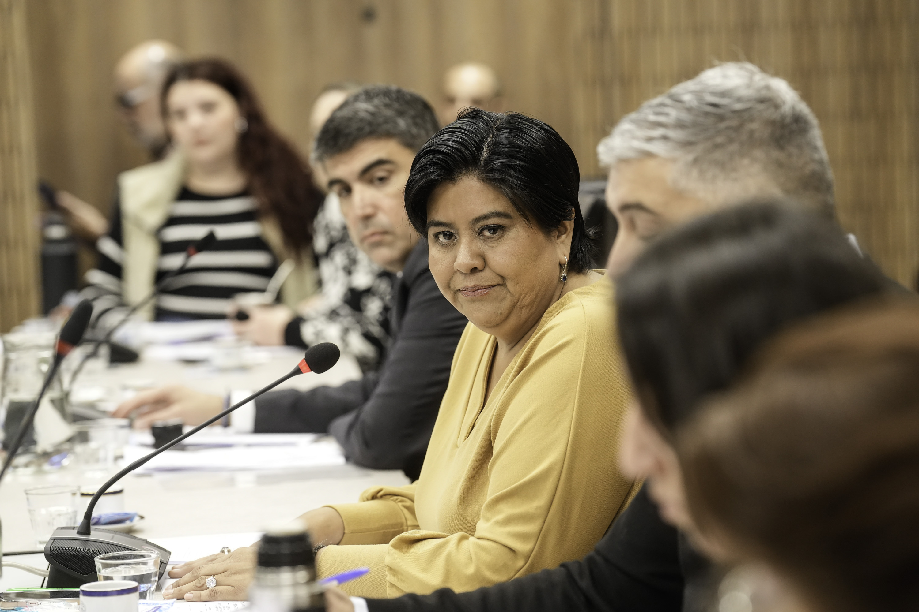 Galeria de imagenes de la noticia EL CONGRESO AVANZA EN EL PROCESO DE ELECCIÓN DEL NUEVO DEFENSOR DE LA NIÑEZ