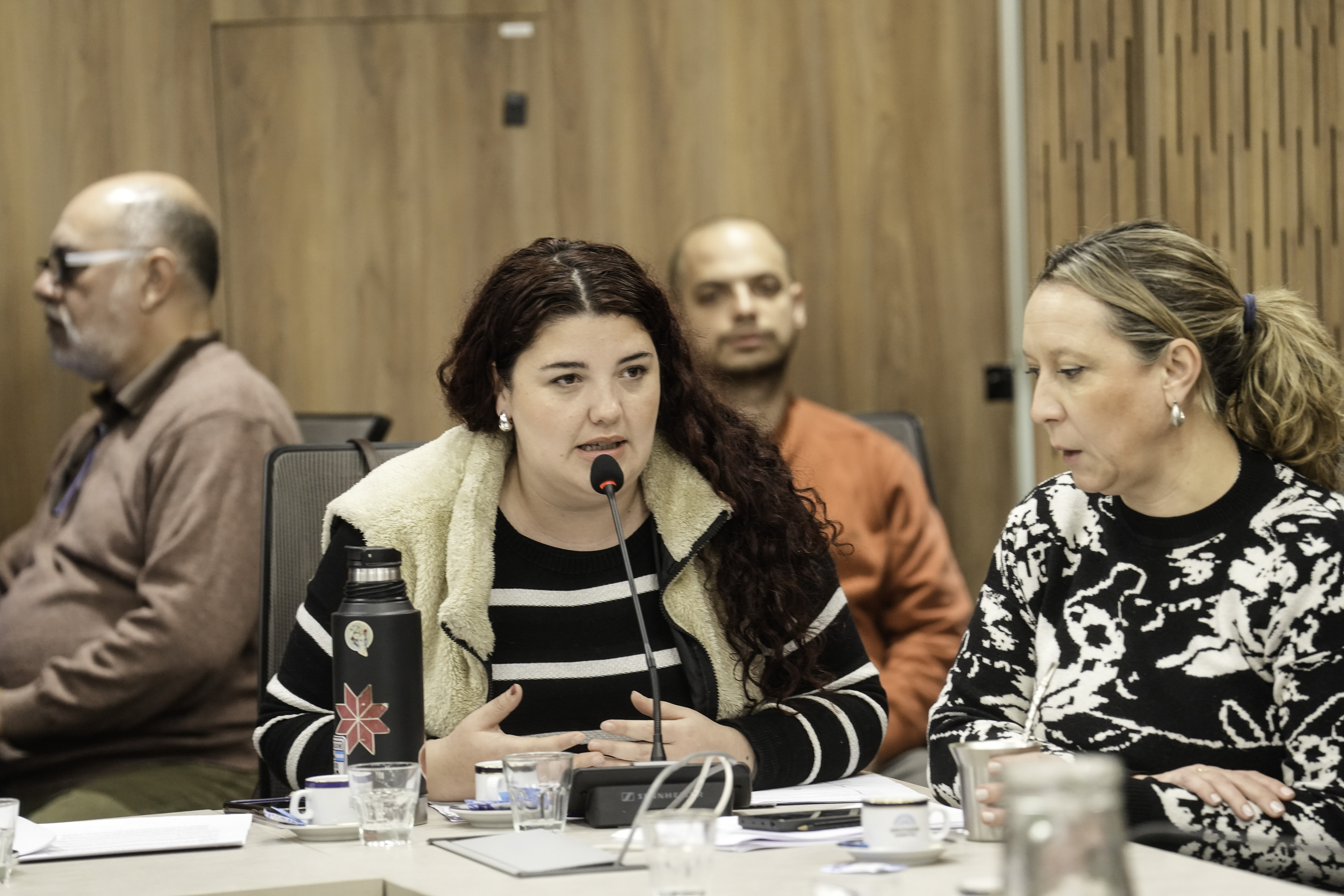 Galeria de imagenes de la noticia EL CONGRESO AVANZA EN EL PROCESO DE ELECCIÓN DEL NUEVO DEFENSOR DE LA NIÑEZ