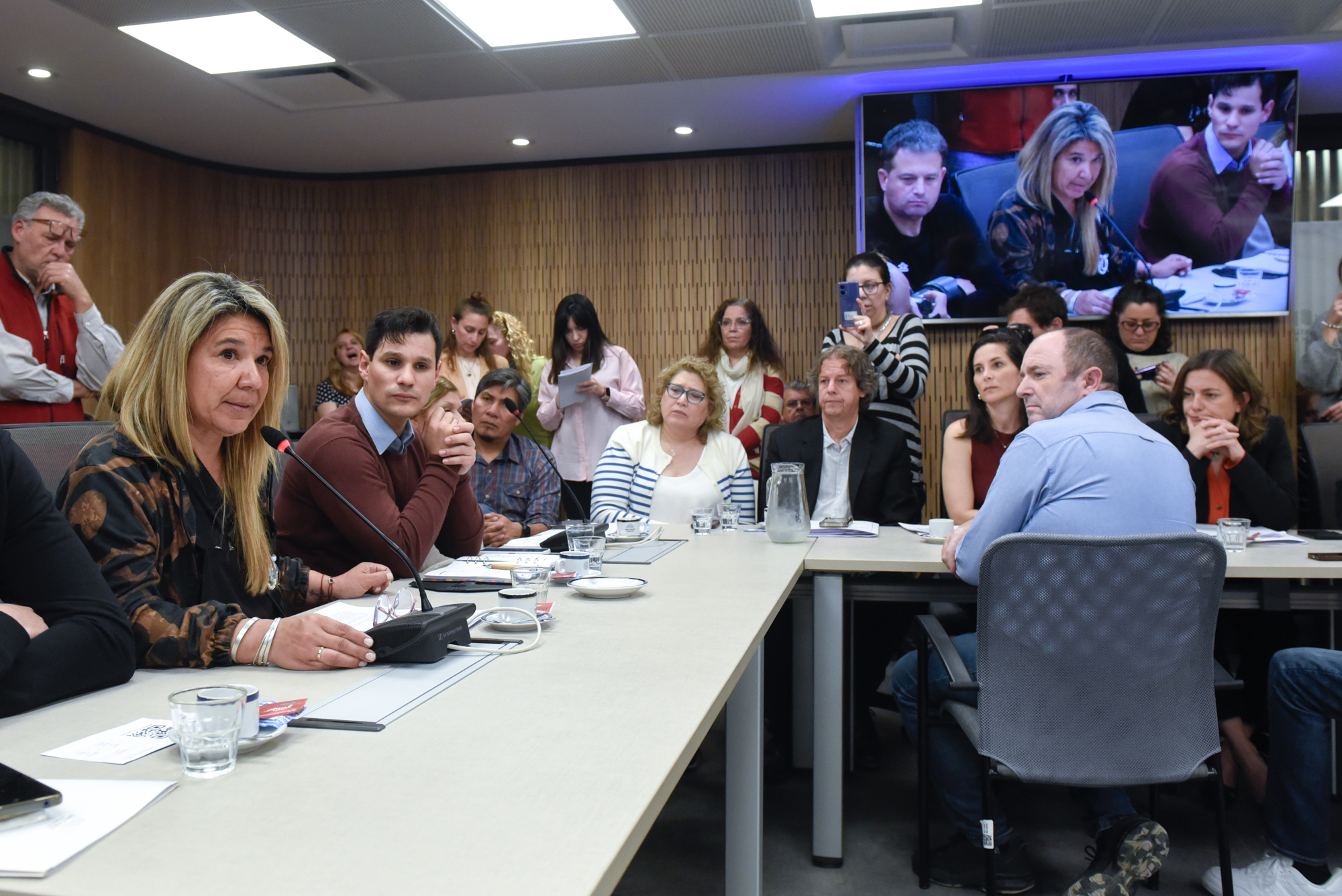 Galeria de imagenes de la noticia DIPUTADOS TRATÓ PROYECTOS QUE PROPONEN CREAR UNA COMISIÓN PARA INVESTIGAR LAS MUERTES DE FENTANILO