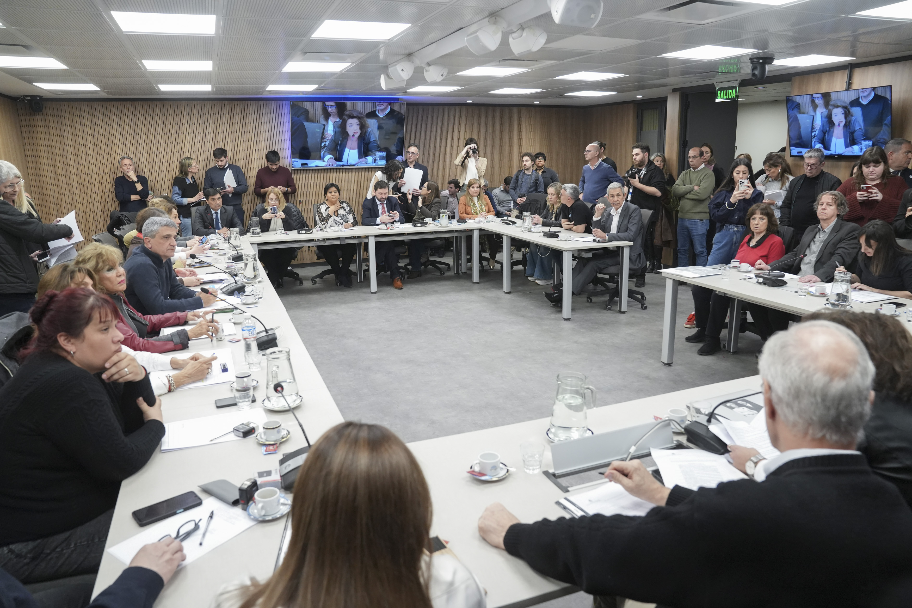 Galeria de imagenes de la noticia LAS COMISIONES DE ACCIÓN SOCIAL Y SALUD PÚBLICA, Y DISCAPACIDAD ANALIZARON PROYECTOS DE RESOLUCIÓN