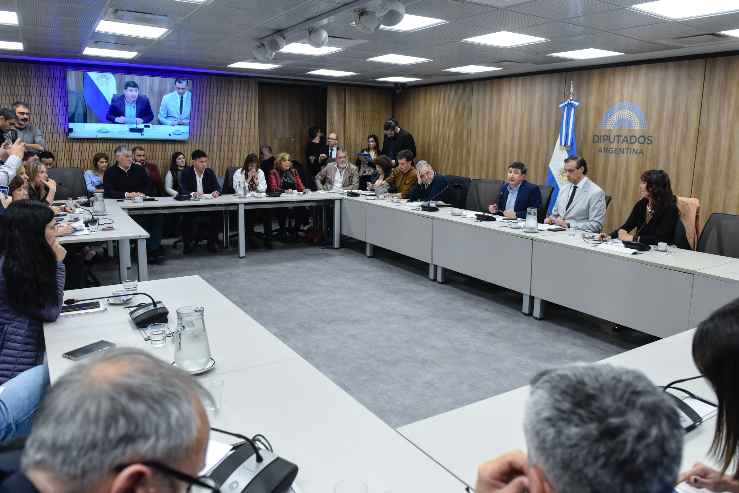 Galeria de imagenes de la noticia LAS COMISIONES DE ACCIÓN SOCIAL Y SALUD PÚBLICA, Y DISCAPACIDAD ANALIZARON PROYECTOS DE RESOLUCIÓN