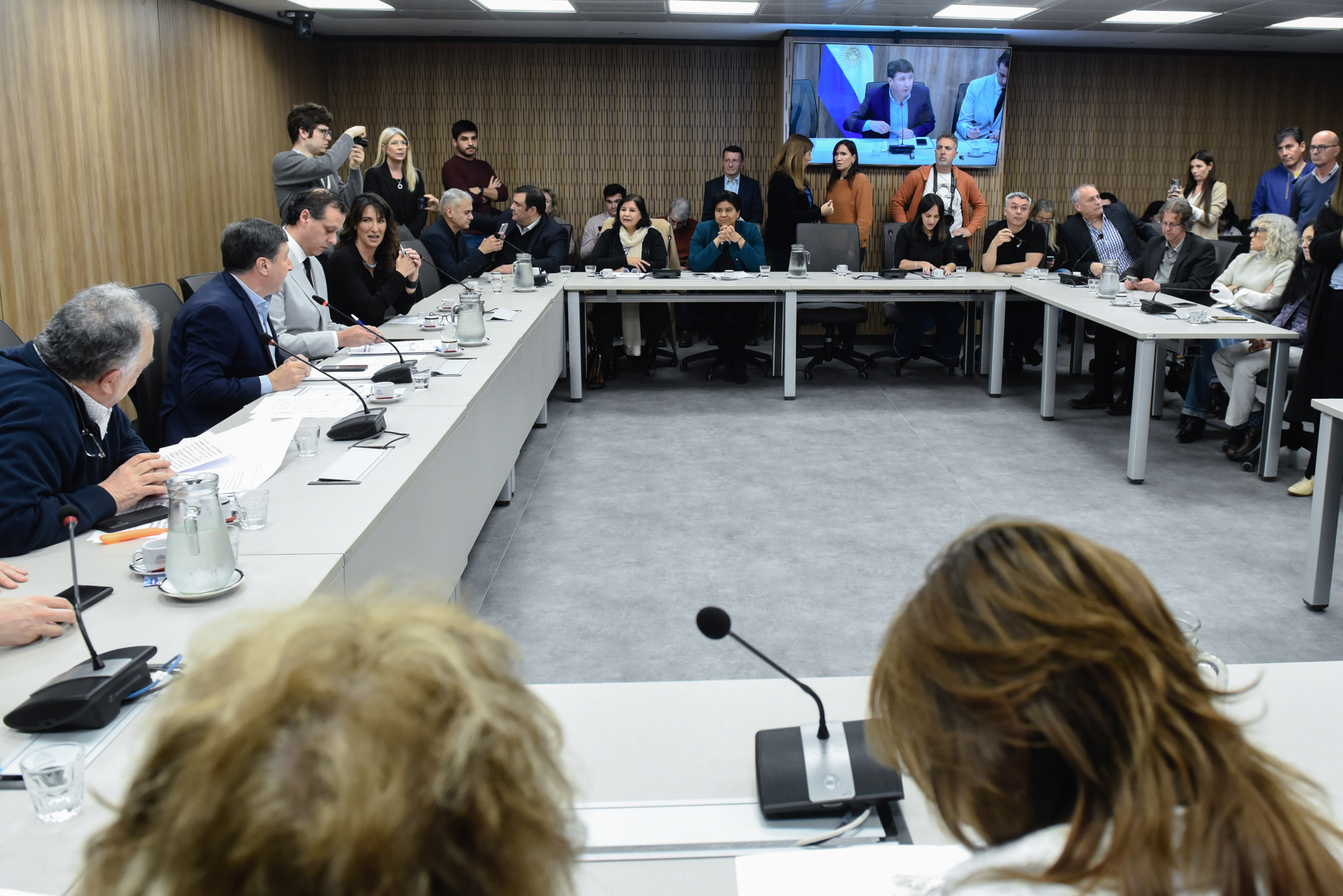 Galeria de imagenes de la noticia LAS COMISIONES DE ACCIÓN SOCIAL Y SALUD PÚBLICA, Y DISCAPACIDAD ANALIZARON PROYECTOS DE RESOLUCIÓN