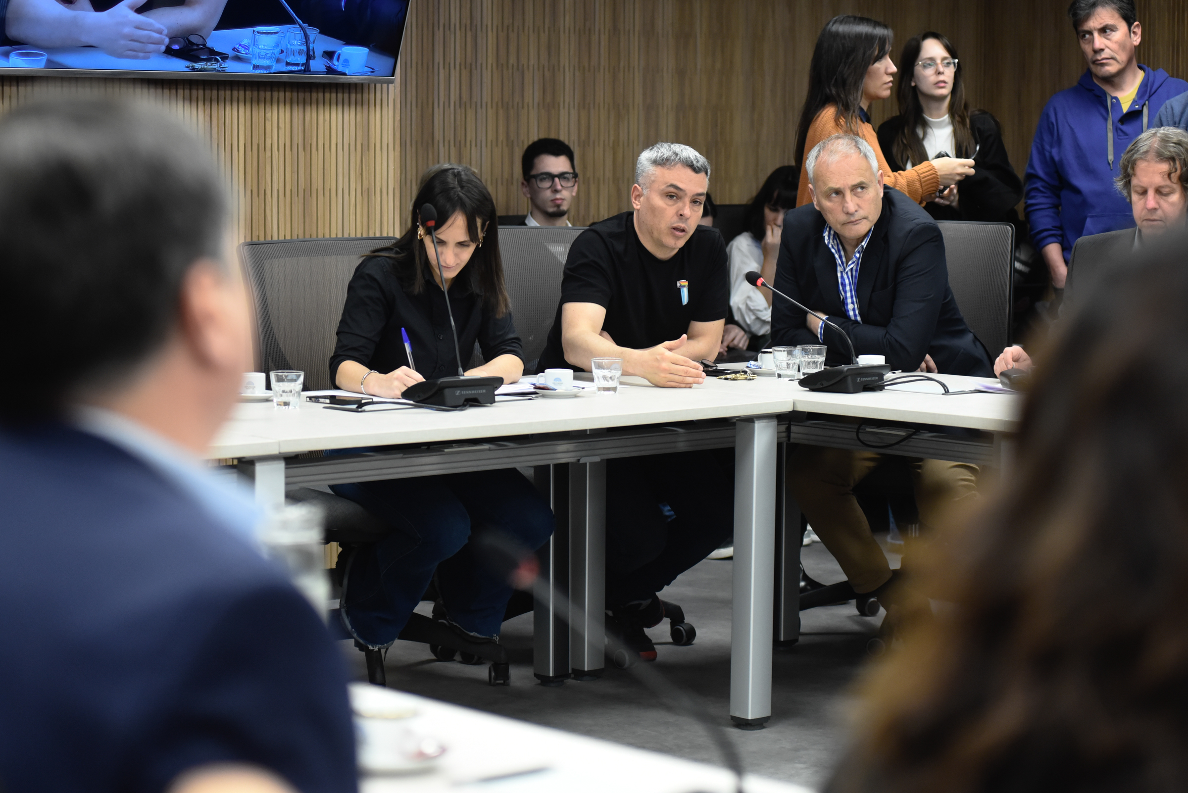 Galeria de imagenes de la noticia LAS COMISIONES DE ACCIÓN SOCIAL Y SALUD PÚBLICA, Y DISCAPACIDAD ANALIZARON PROYECTOS DE RESOLUCIÓN