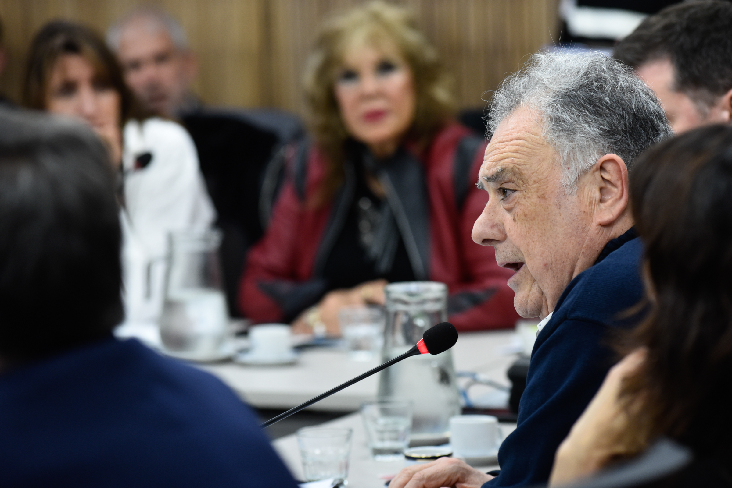 Galeria de imagenes de la noticia LAS COMISIONES DE ACCIÓN SOCIAL Y SALUD PÚBLICA, Y DISCAPACIDAD ANALIZARON PROYECTOS DE RESOLUCIÓN