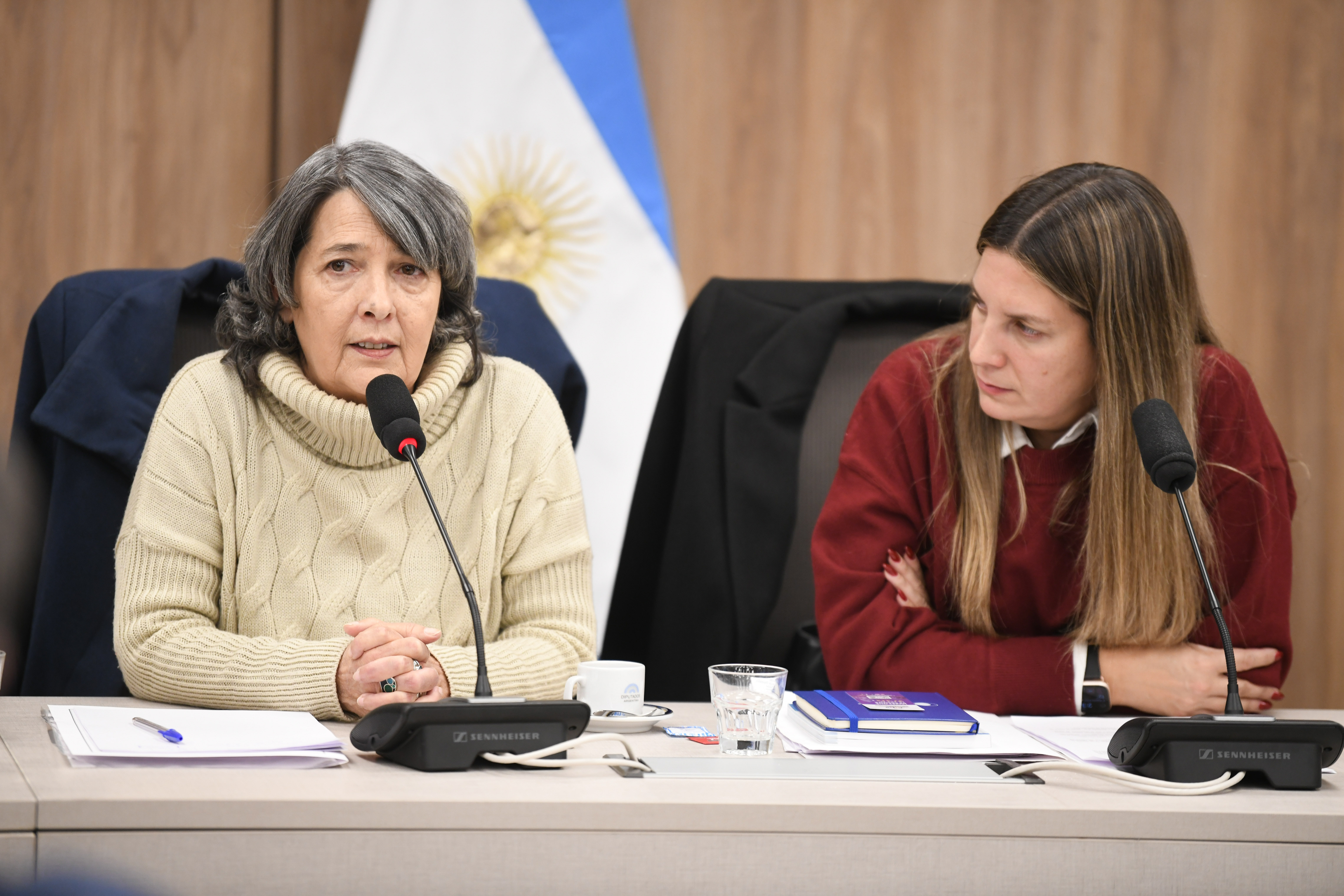 Galeria de imagenes de la noticia DEBATIERON LA CREACIÓN DE UNA COMISIÓN INVESTIGADORA SOBRE EL FENTANILO CONTAMINADO