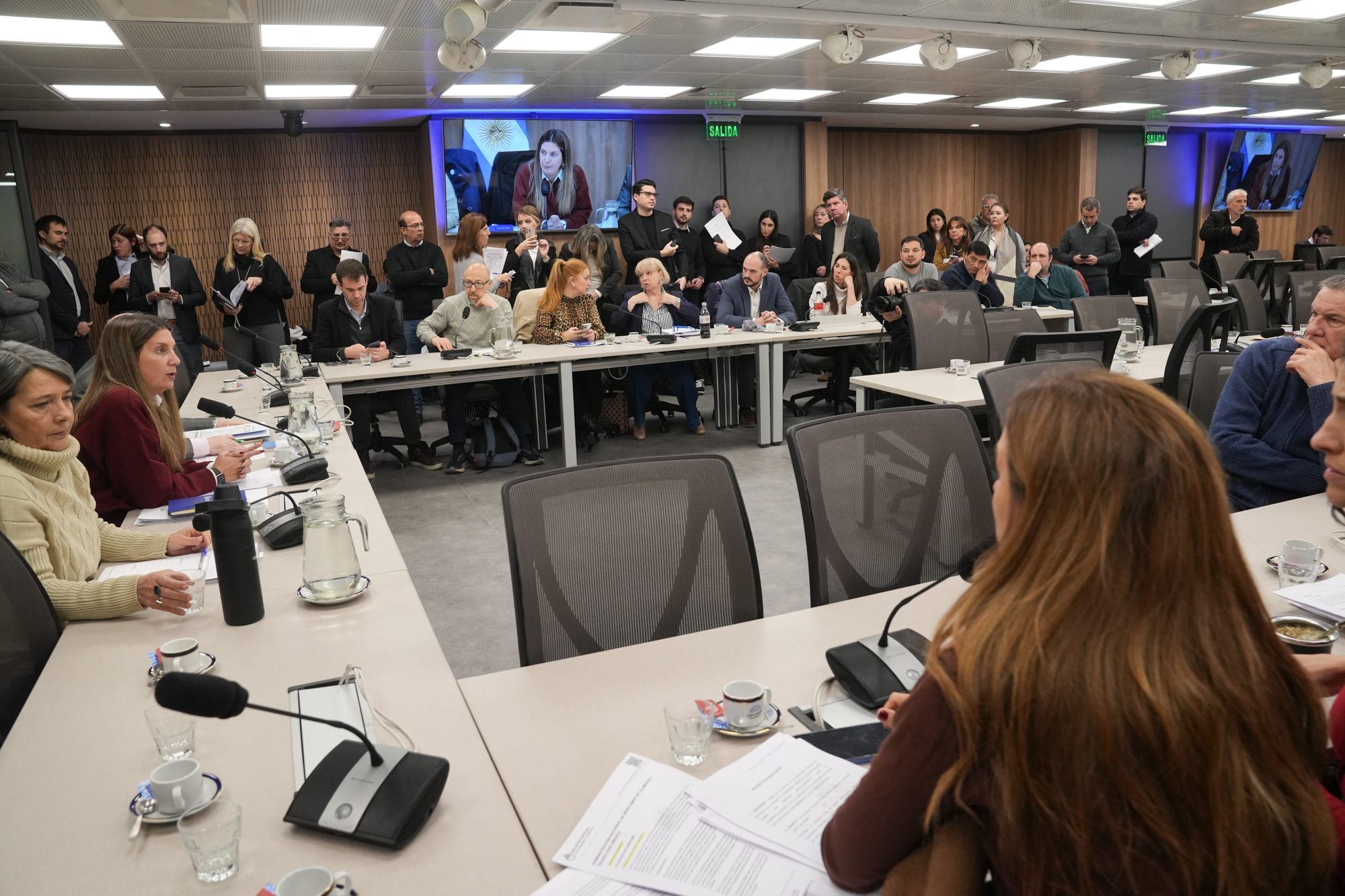 Galeria de imagenes de la noticia DEBATIERON LA CREACIÓN DE UNA COMISIÓN INVESTIGADORA SOBRE EL FENTANILO CONTAMINADO