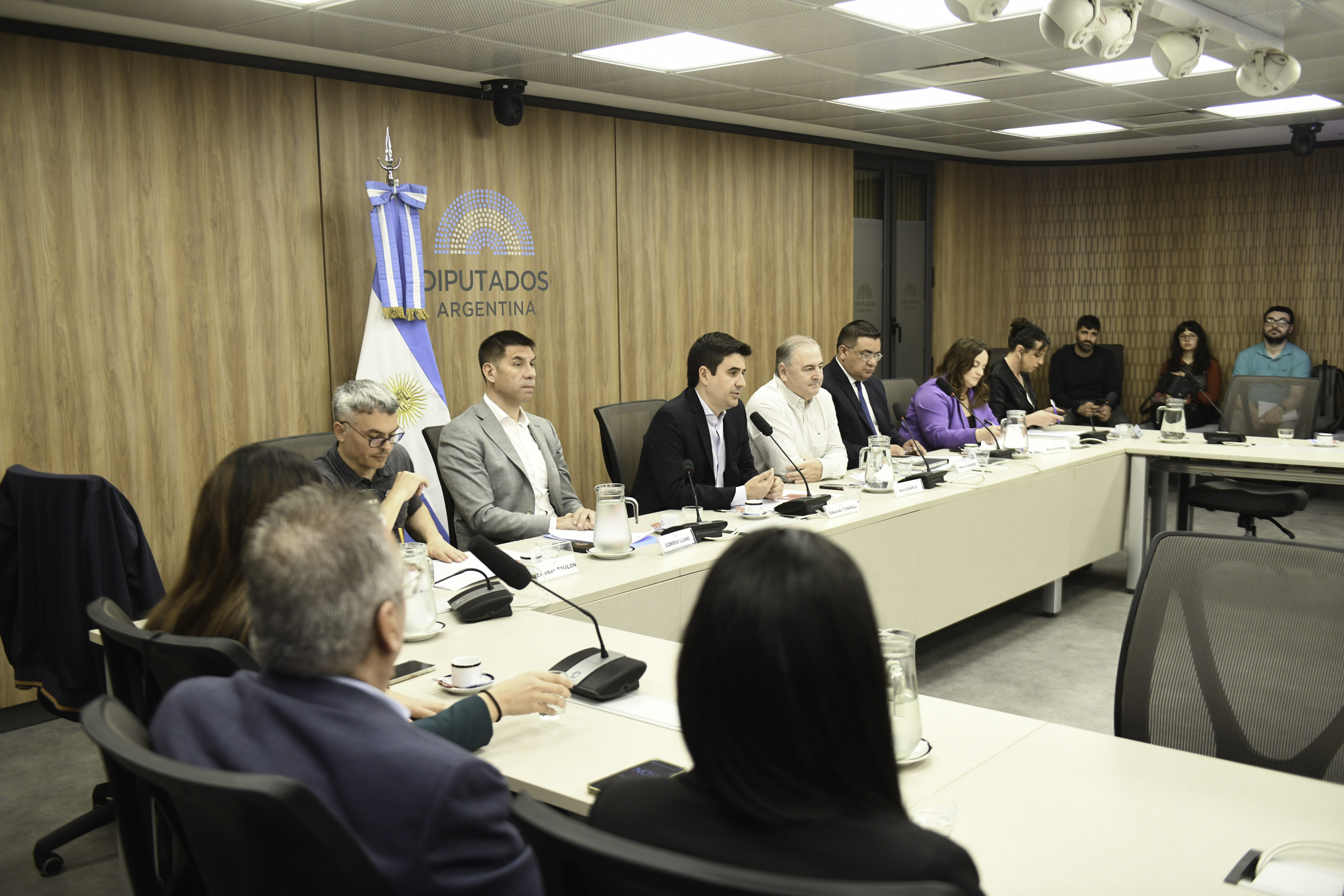 Galeria de imagenes de la noticia ENTIDADES DEL SECTOR COOPERATIVO EXPUSIERON ANTE UNA COMISIÓN EN DIPUTADOS
