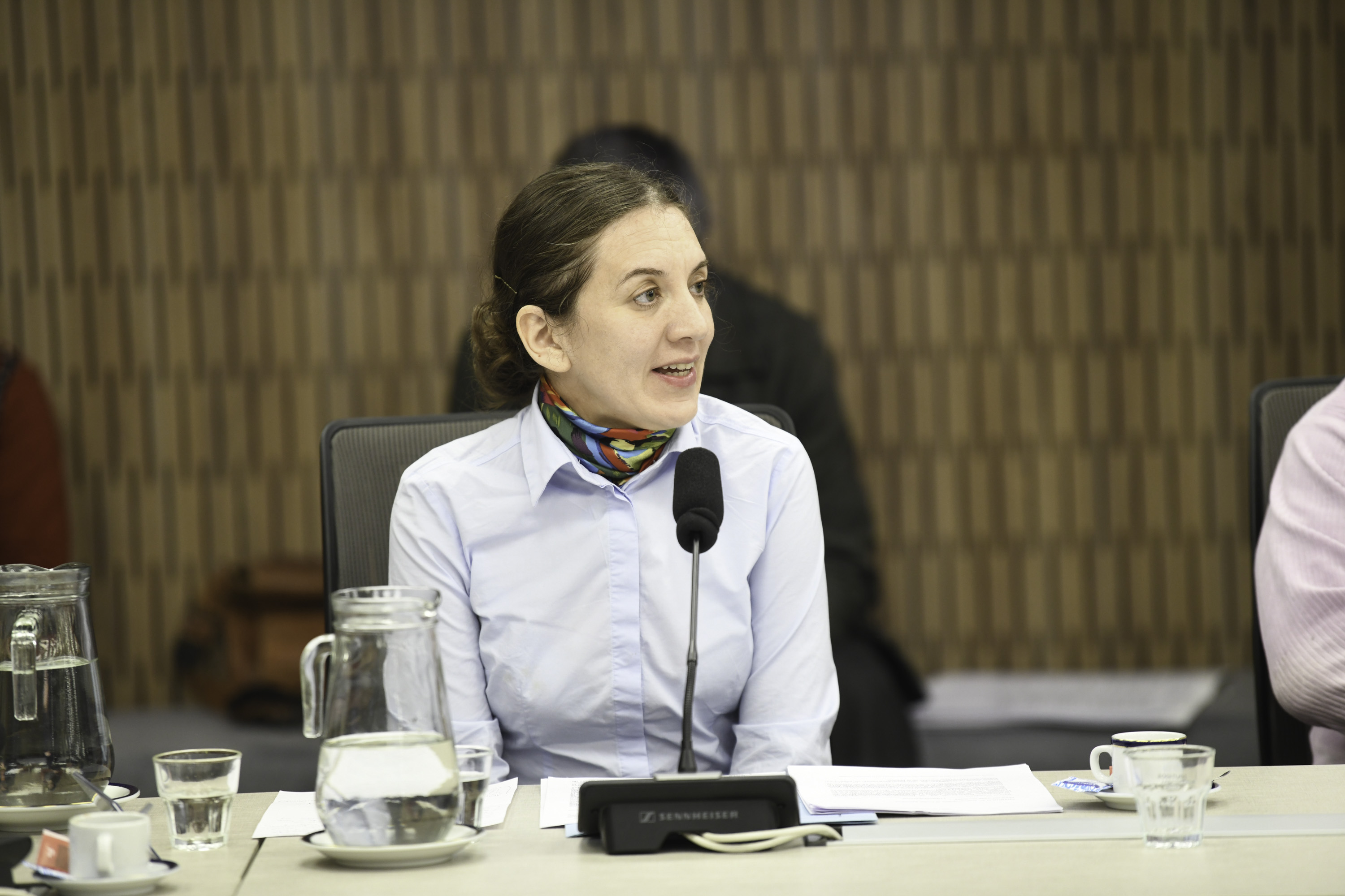 Galeria de imagenes de la noticia ENTIDADES DEL SECTOR COOPERATIVO EXPUSIERON ANTE UNA COMISIÓN EN DIPUTADOS