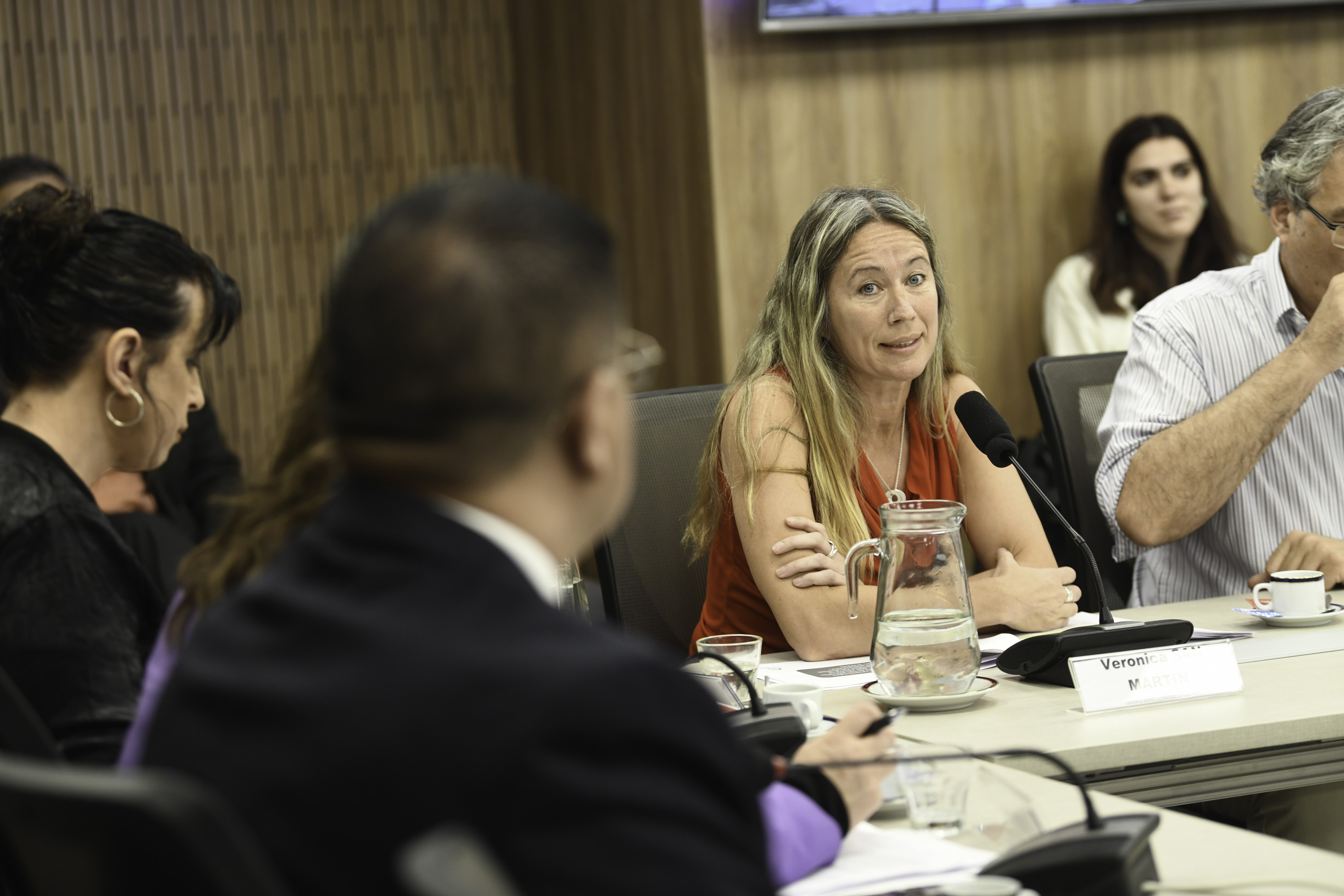 Galeria de imagenes de la noticia ENTIDADES DEL SECTOR COOPERATIVO EXPUSIERON ANTE UNA COMISIÓN EN DIPUTADOS