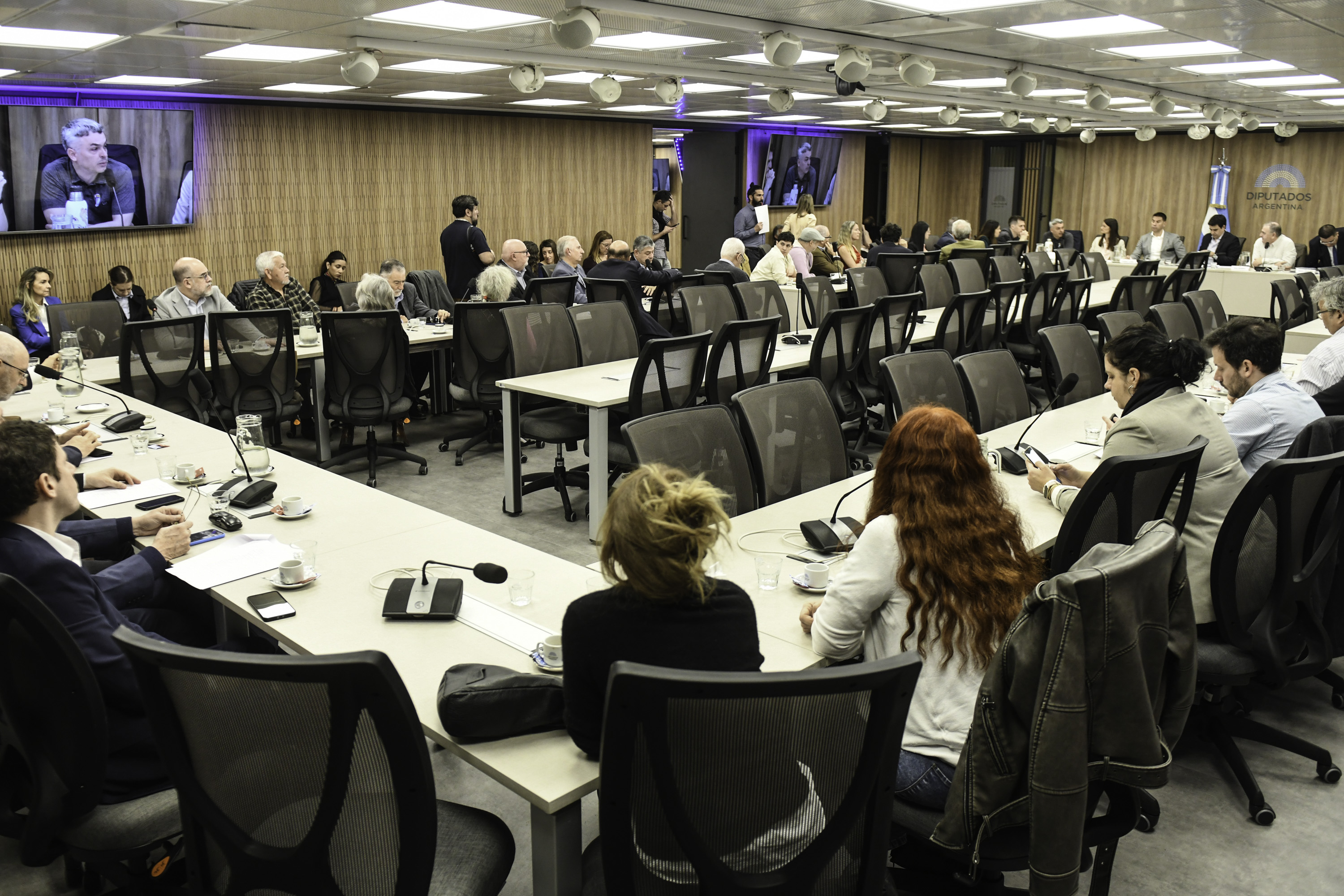 Galeria de imagenes de la noticia ENTIDADES DEL SECTOR COOPERATIVO EXPUSIERON ANTE UNA COMISIÓN EN DIPUTADOS