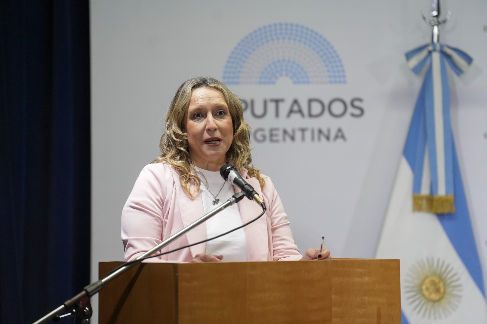 Galeria de imagenes de la noticia REALIZARON LA JORNADA “PREVENIR EL SUICIDIO: DEL PROYECTO DE LEY A LAS POLÍTICAS EFECTIVAS”