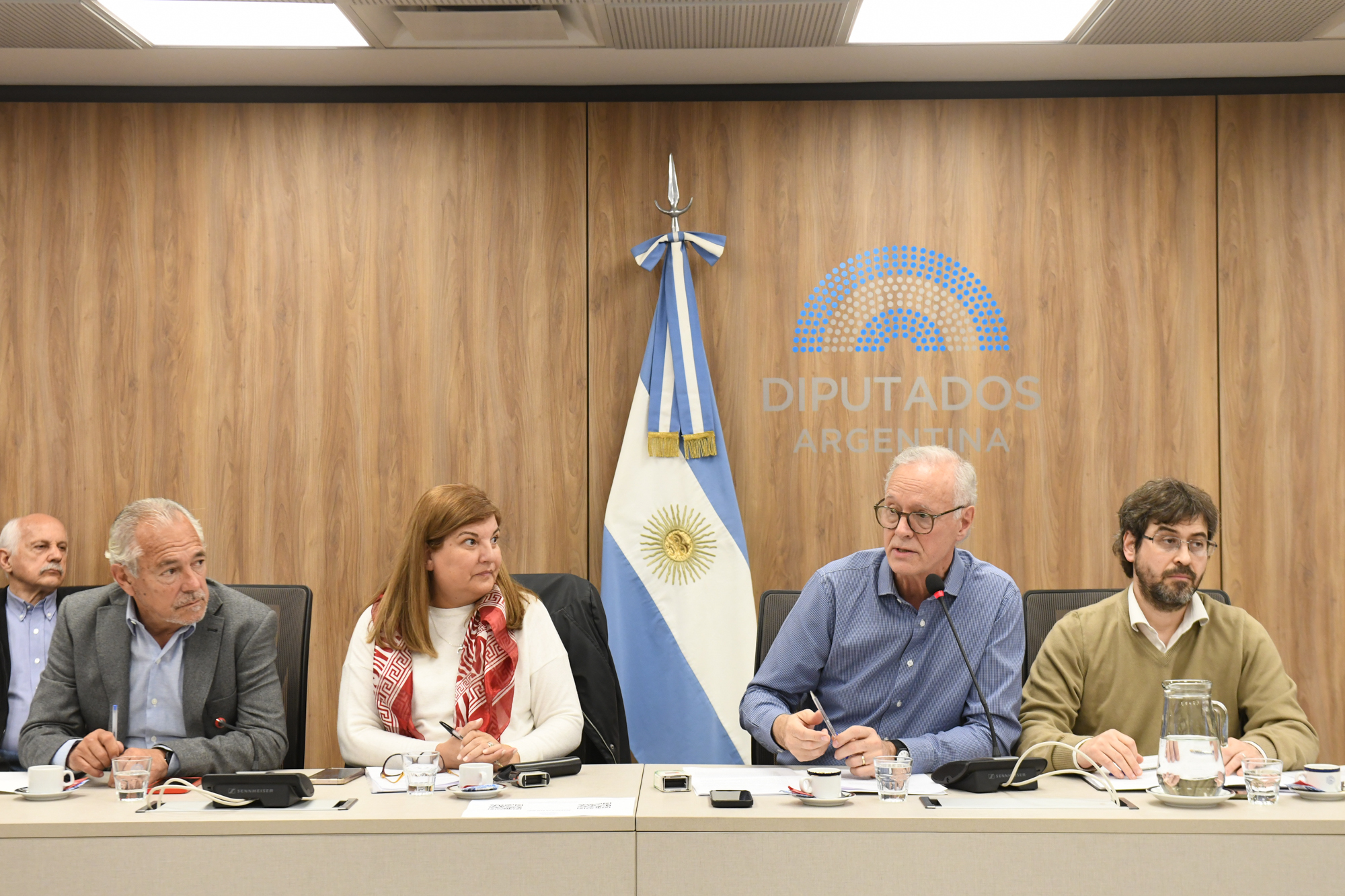 Galeria de imagenes de la noticia LA COMISIÓN DE CIENCIA, TECNOLOGÍA E INNOVACIÓN PRODUCTIVA ANALIZÓ PROYECTOS DE DECLARACIÓN Y RESOLUCIÓN