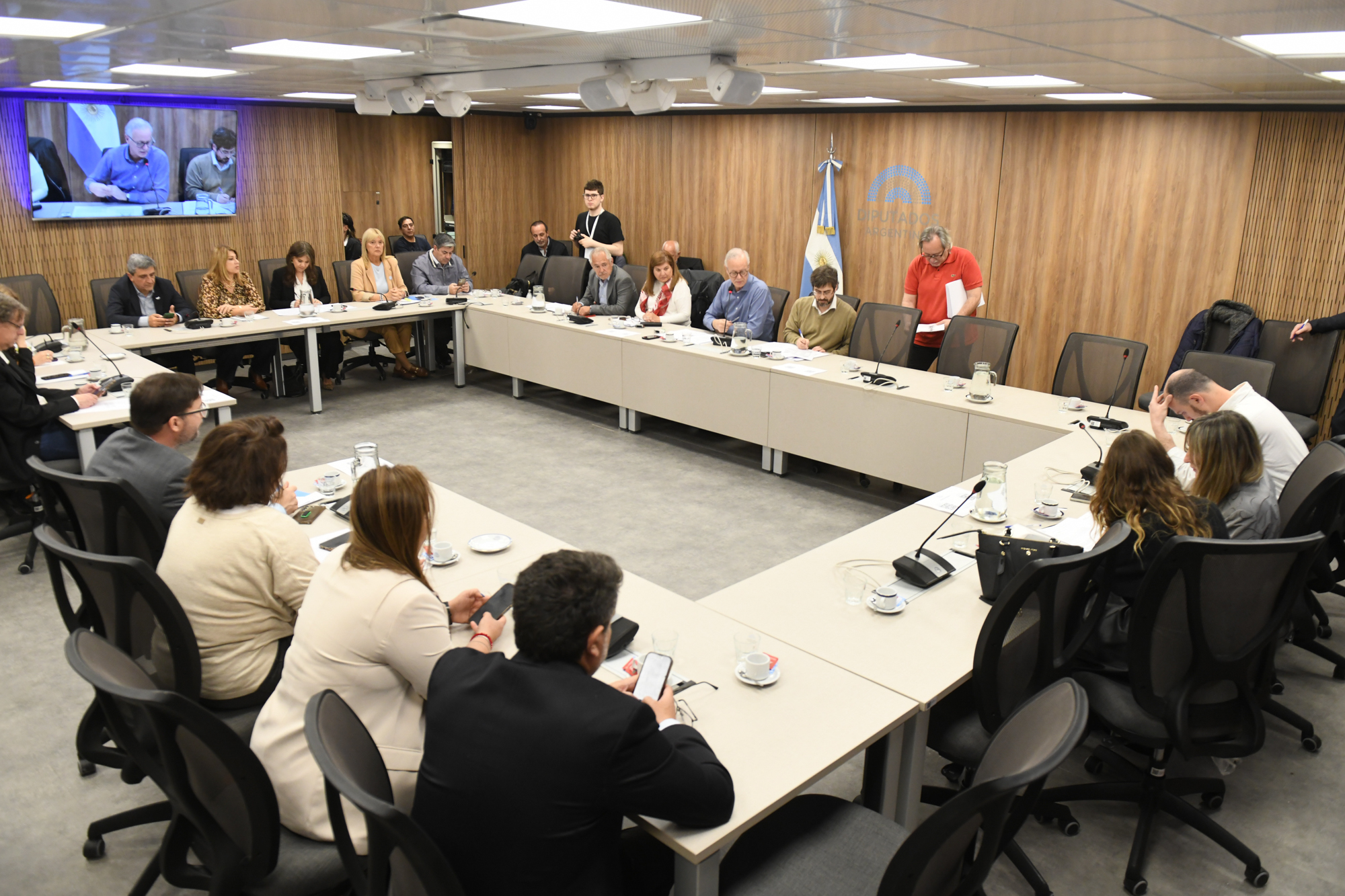 Galeria de imagenes de la noticia LA COMISIÓN DE CIENCIA, TECNOLOGÍA E INNOVACIÓN PRODUCTIVA ANALIZÓ PROYECTOS DE DECLARACIÓN Y RESOLUCIÓN